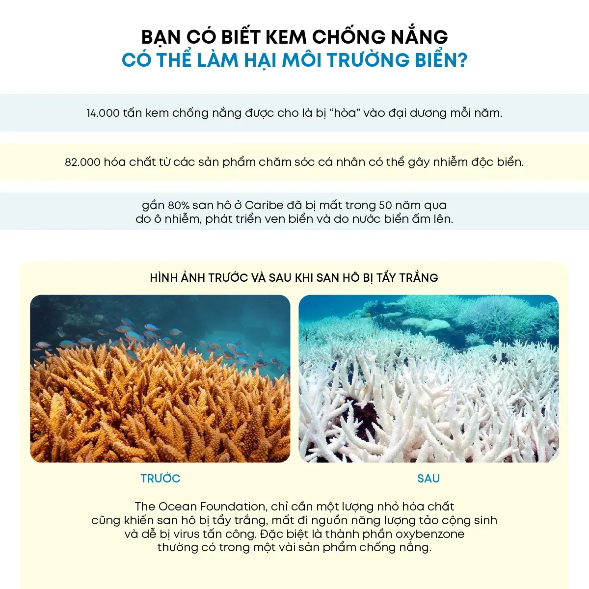 kem-chong-nang-natural-sun-eco-super-active-reef-safe-3