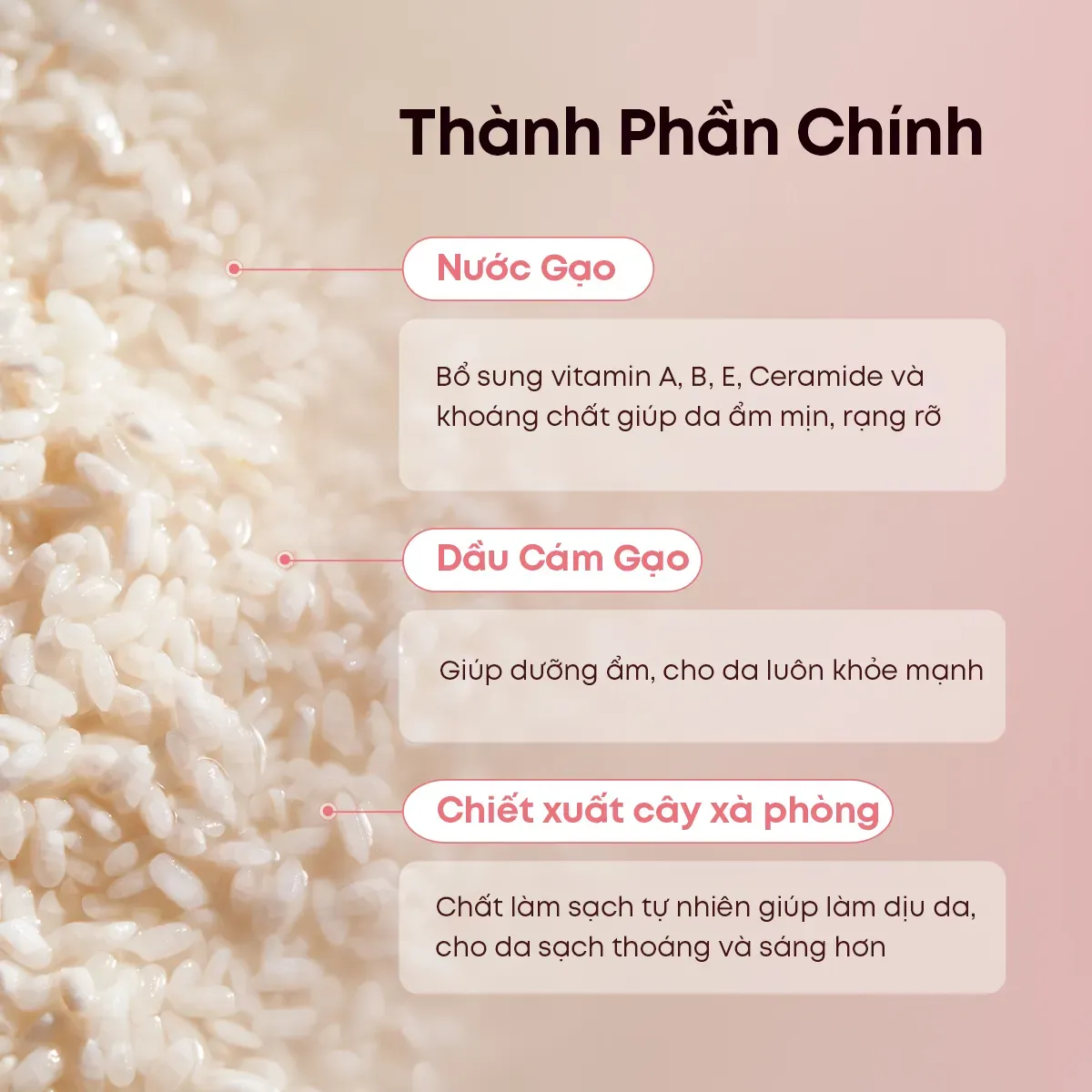 sua-rua-mat-lam-sach-da-the-face-shop-rice-water-bright-cleansing-foam-100ml-8