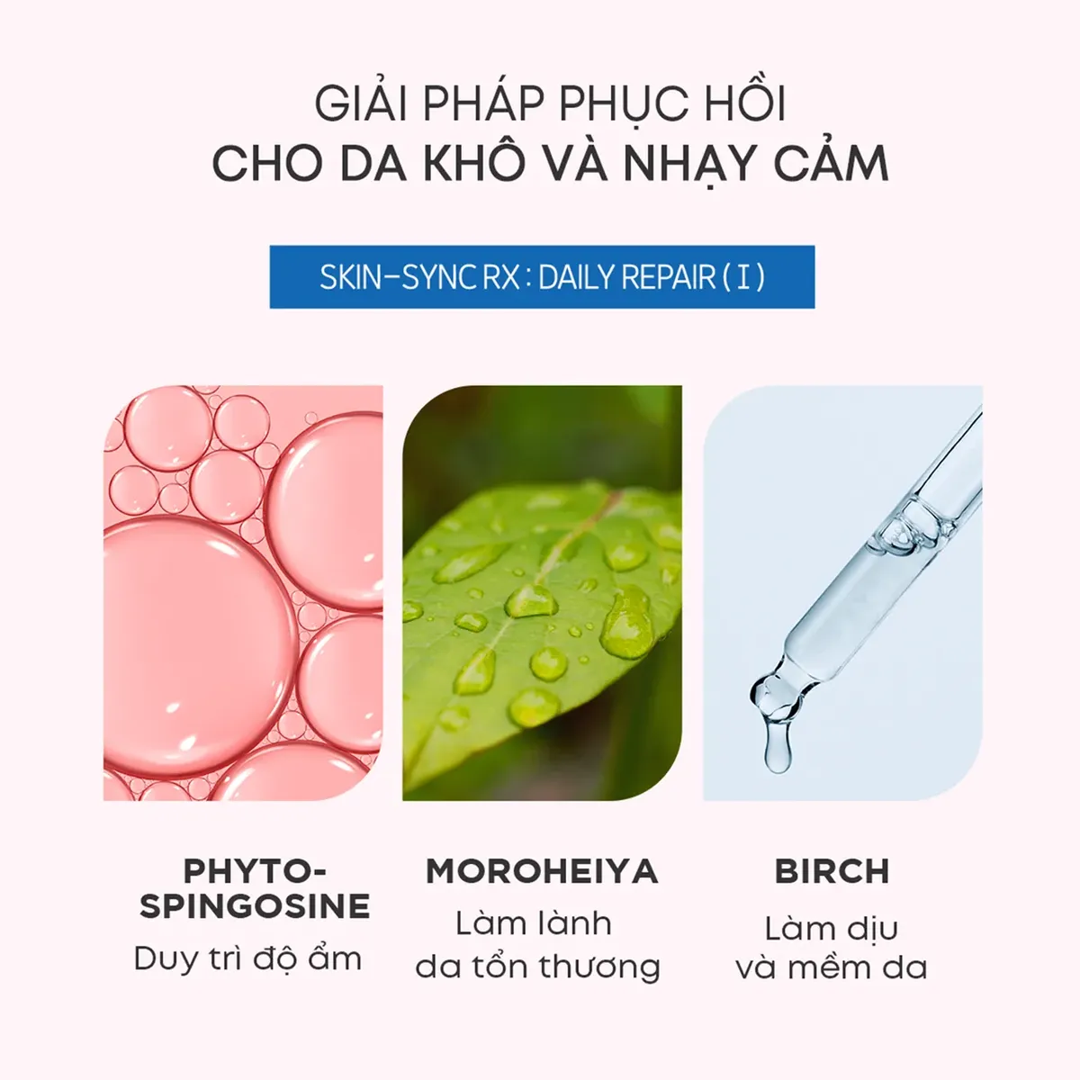 phien-ban-gioi-han-son-duong-drbelmeur-7