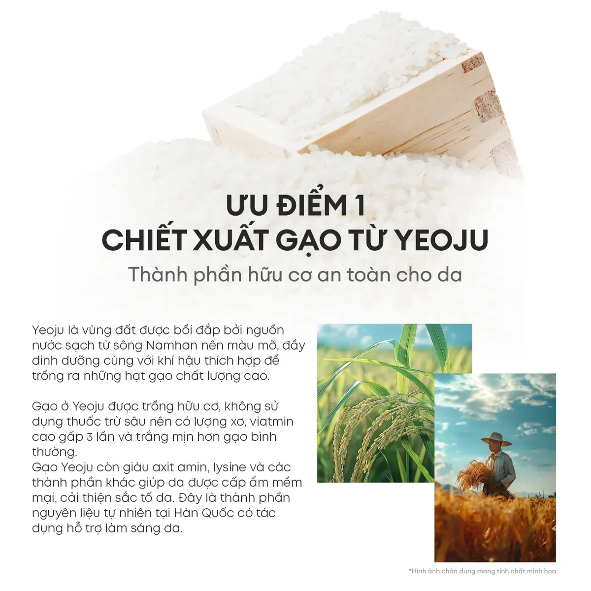 sua-rua-mat-lam-sang-da-thefaceshop-rice-water-bright-cleansing-foam-7