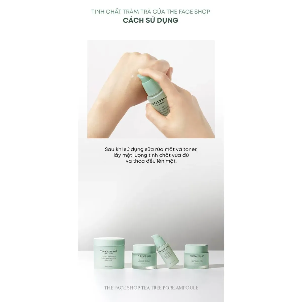 tinh-chat-the-face-shop-tea-tree-pore-ampoule-30ml-7