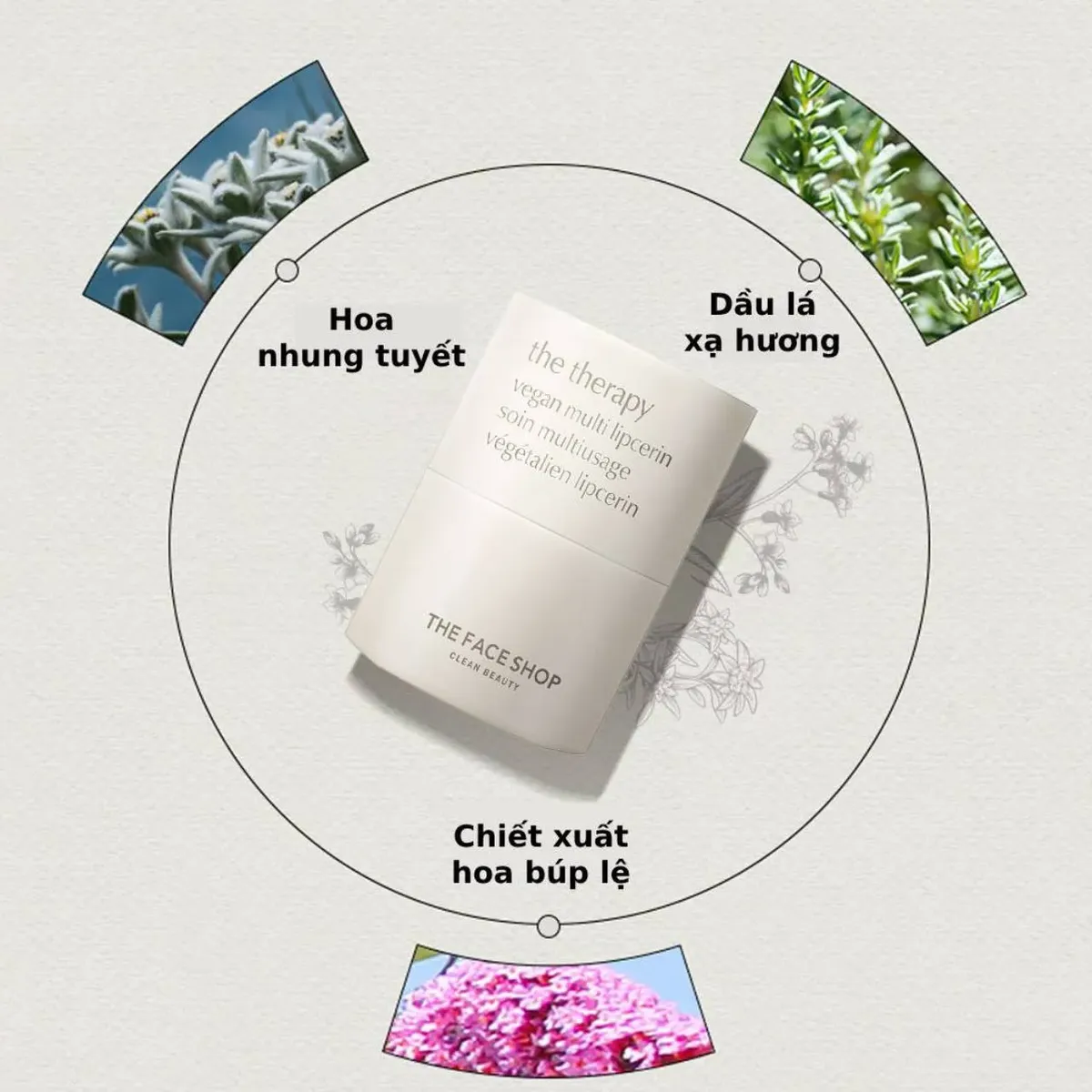 phien-ban-gioi-han-x-molang-duong-moi-thuan-chay-the-face-shop-da-nang-cap-am-the-therapy-vegan-multi-lipcerin-molang-15ml-7