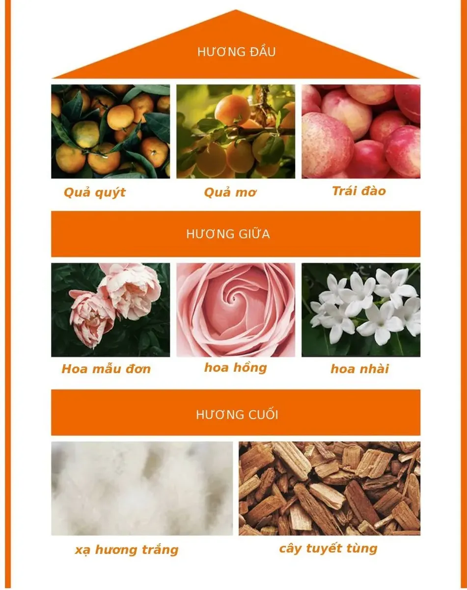 tinh-chat-the-face-shop-phuc-hoi-toc-hu-ton-essential-damage-care-hair-serum-150ml-4