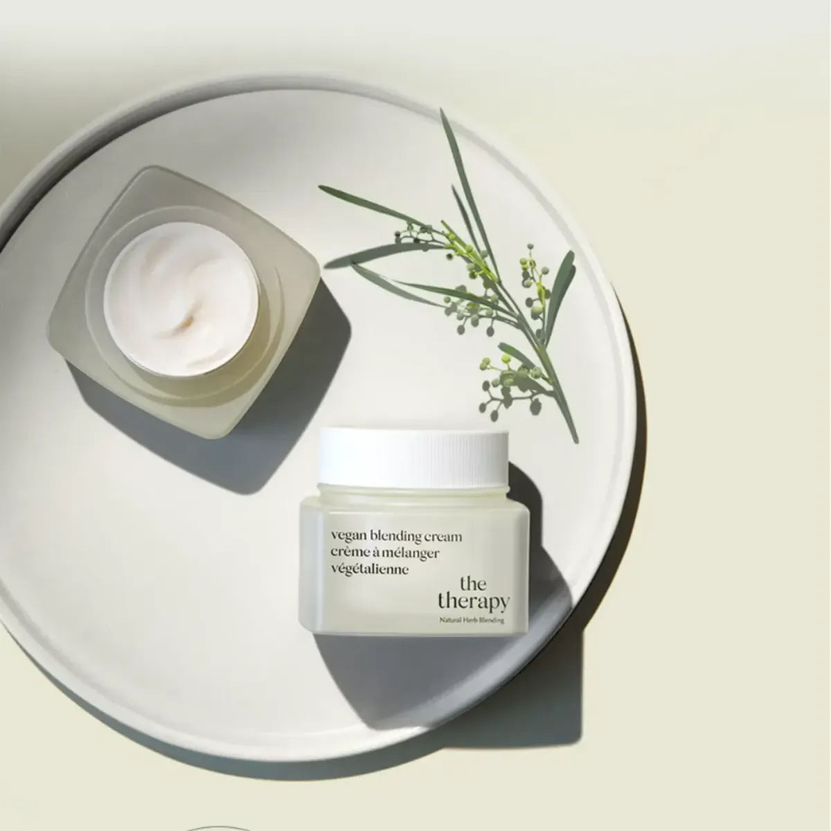 bo-duong-da-thuan-chay-the-face-shop-cap-am-cai-thien-nep-nhan-da-the-therapy-vegan-blending-cream-special-set-4pcs-5