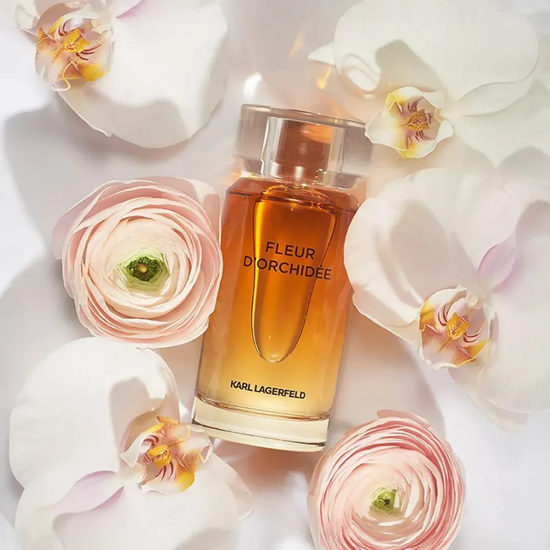 nuoc-hoa-nu-karl-lagerfeld-fleur-dorchidee-3