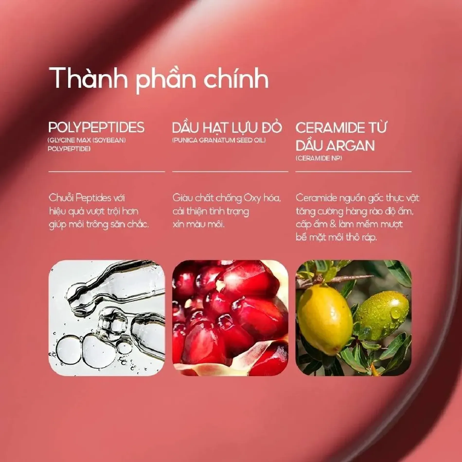 son-tint-laneige-glaze-craze-tinted-12g-10