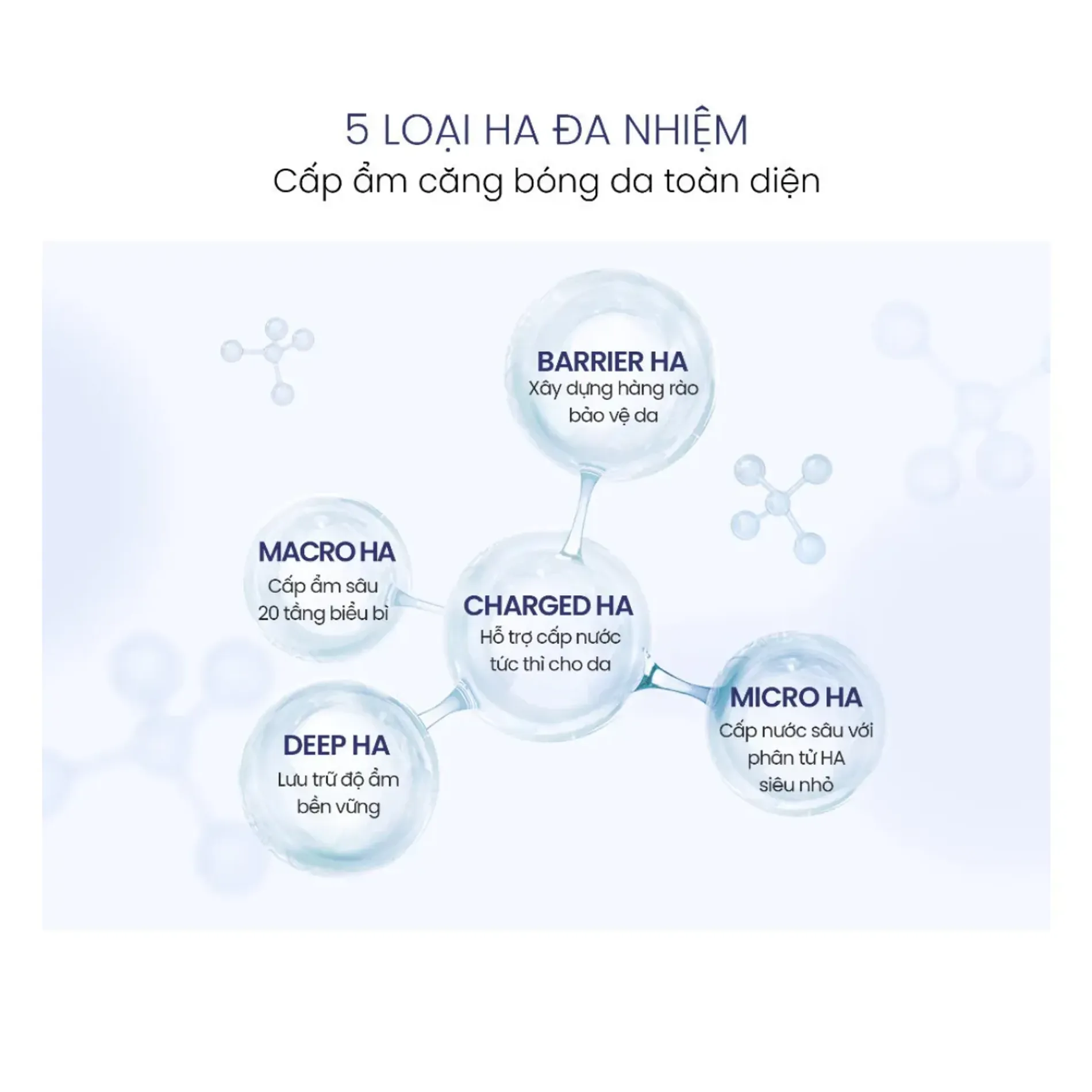 tinh-chat-duong-da-cang-bong-ahc-pro-shot-hyaluro-deep-volume-5-intra-serum-40ml-5