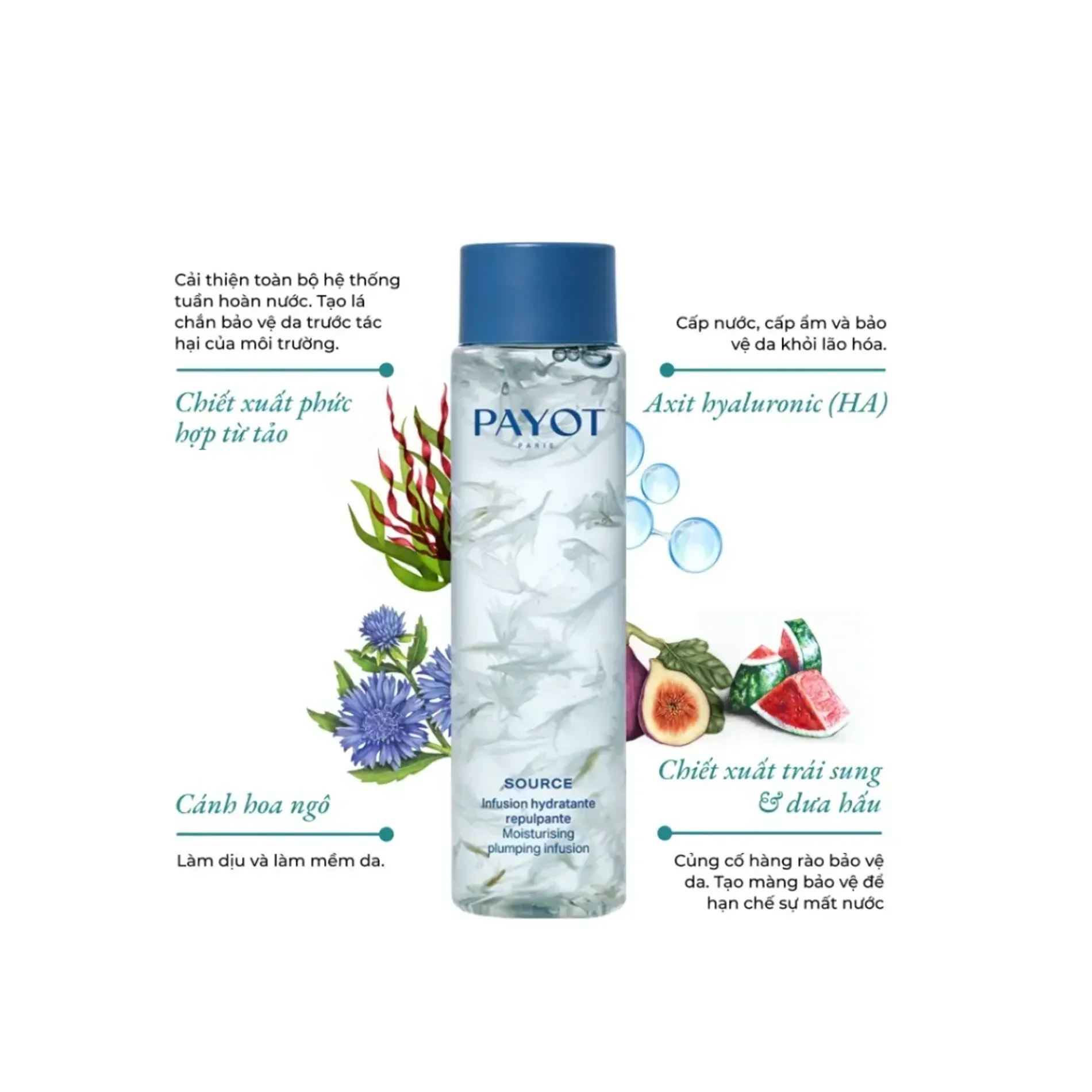 combo-kem-duong-cap-am-payot-source-moisturizing-cream-50ml-nuoc-duong-mem-da-plumping-infusion-125ml-3