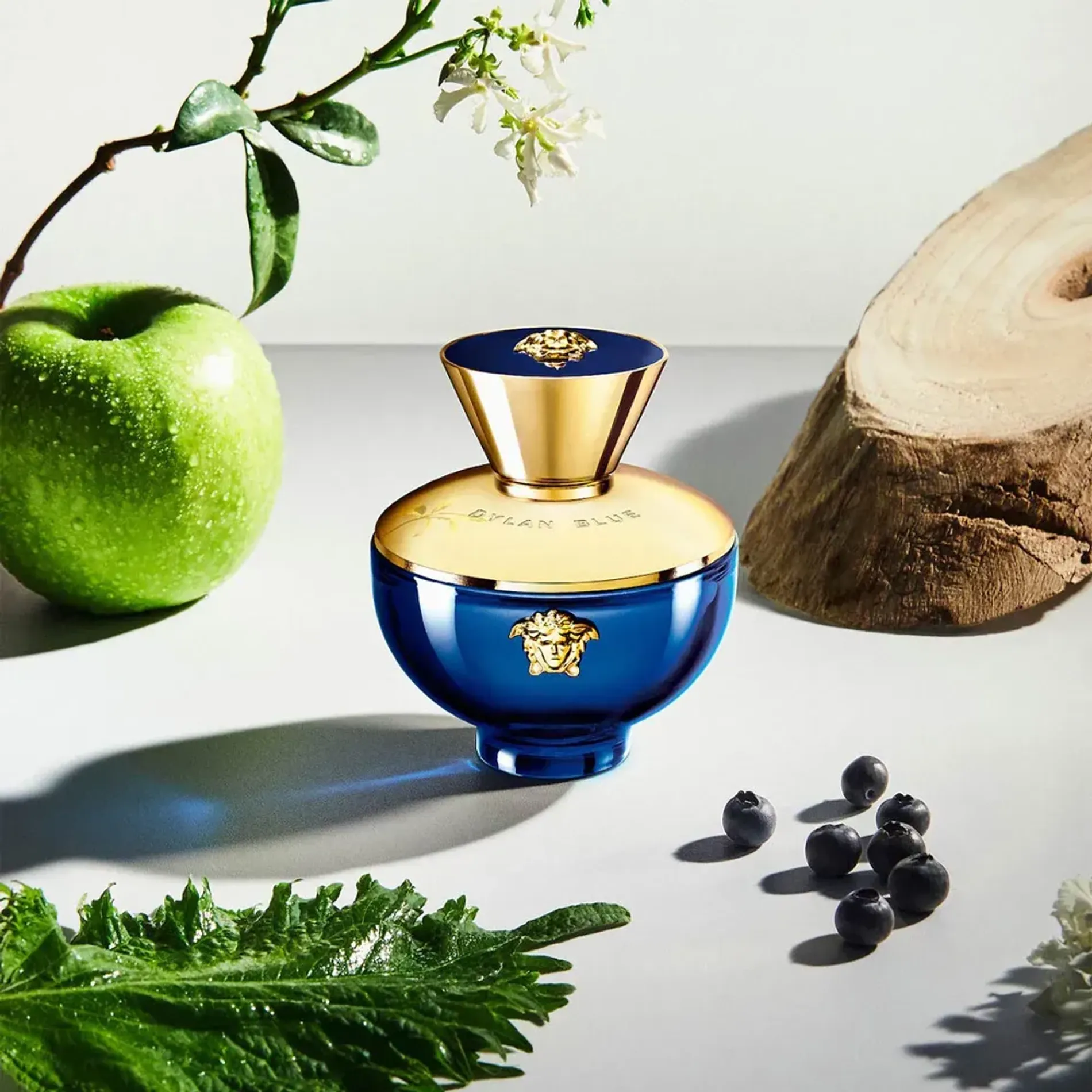 nuoc-hoa-versace-pour-femme-dylan-blue-2