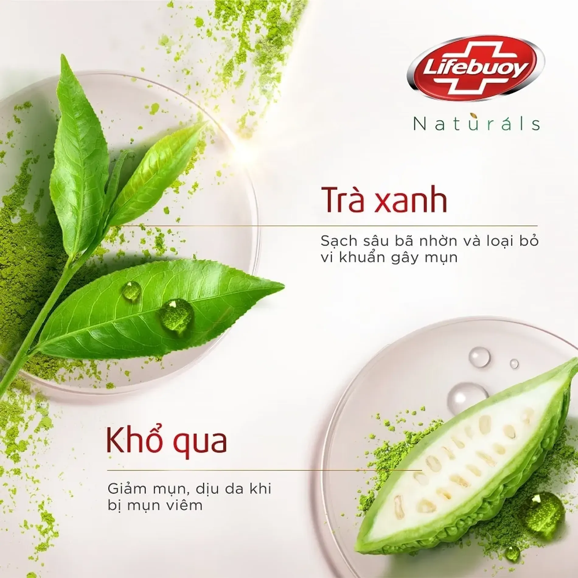 sua-tam-lifebuoy-detox-giam-mun-matcha-kho-qua-800g-2