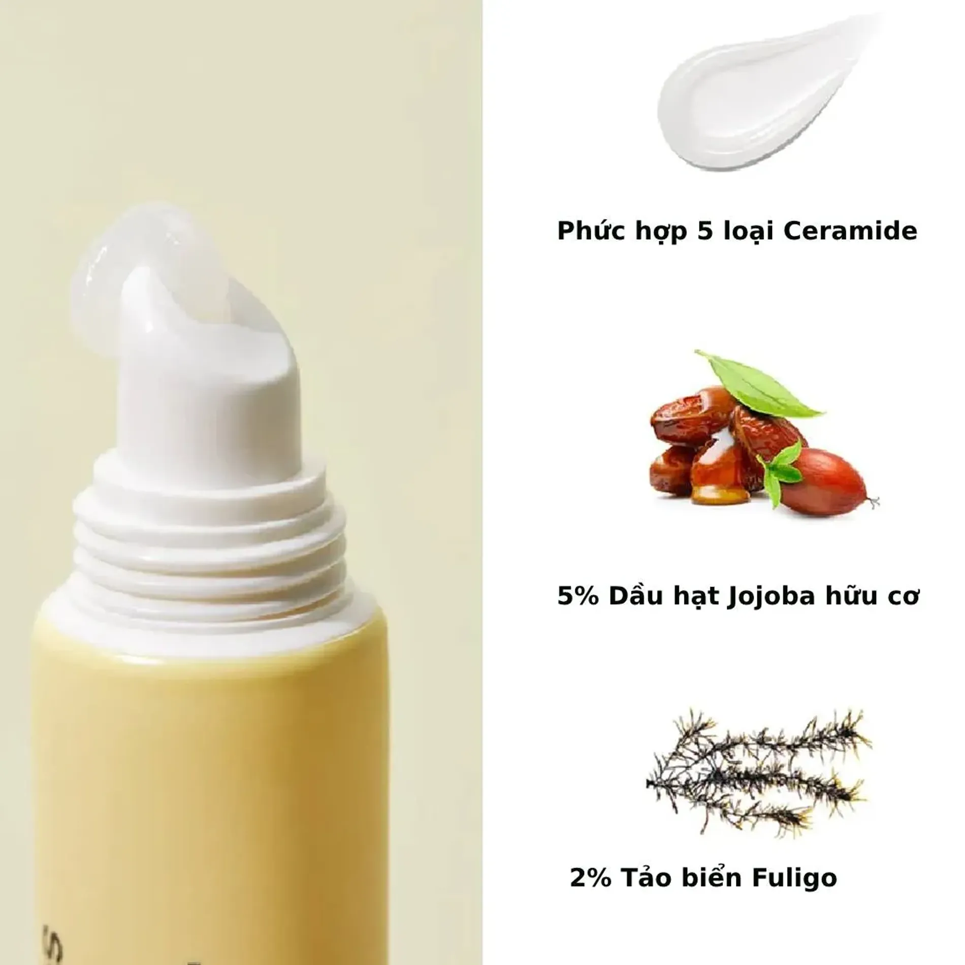 tinh-chat-duong-torriden-lam-mem-moi-solid-in-lip-essence-11ml-10