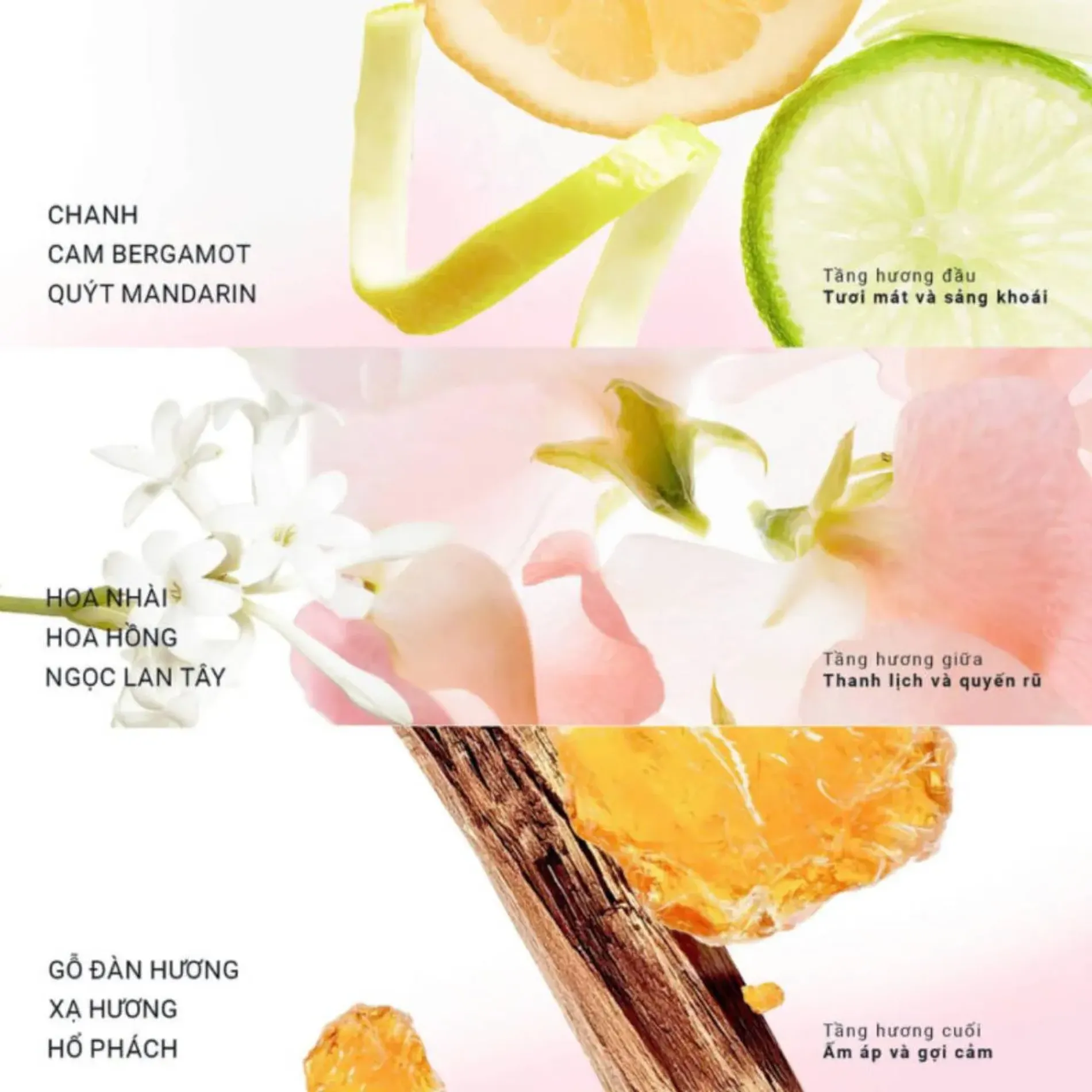 phien-ban-gioi-han-nuoc-hoa-cao-cap-moi-perfume-limited-edition-what-is-love-50ml-3