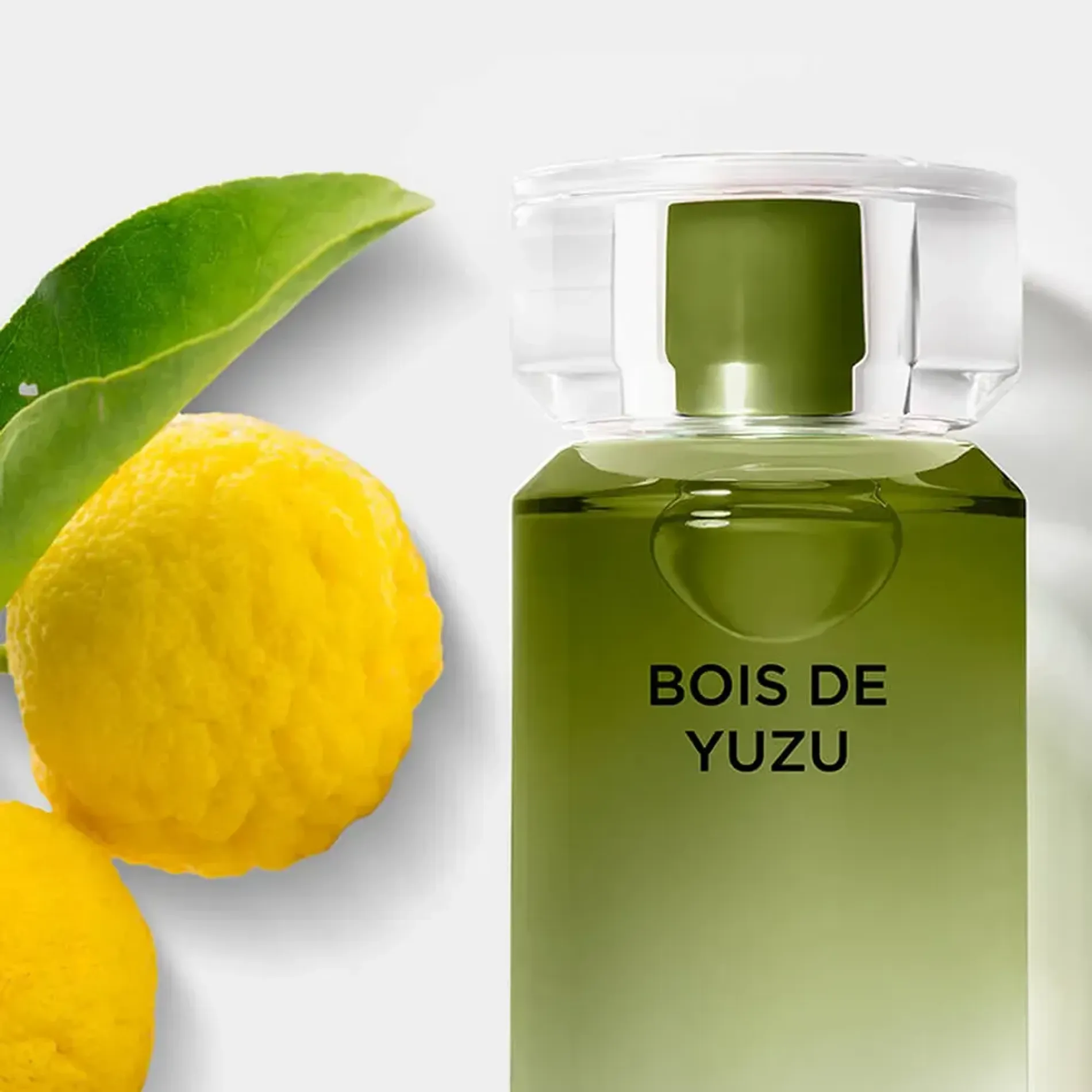 nuoc-hoa-nam-karl-lagerfeld-bois-de-yuzu-2