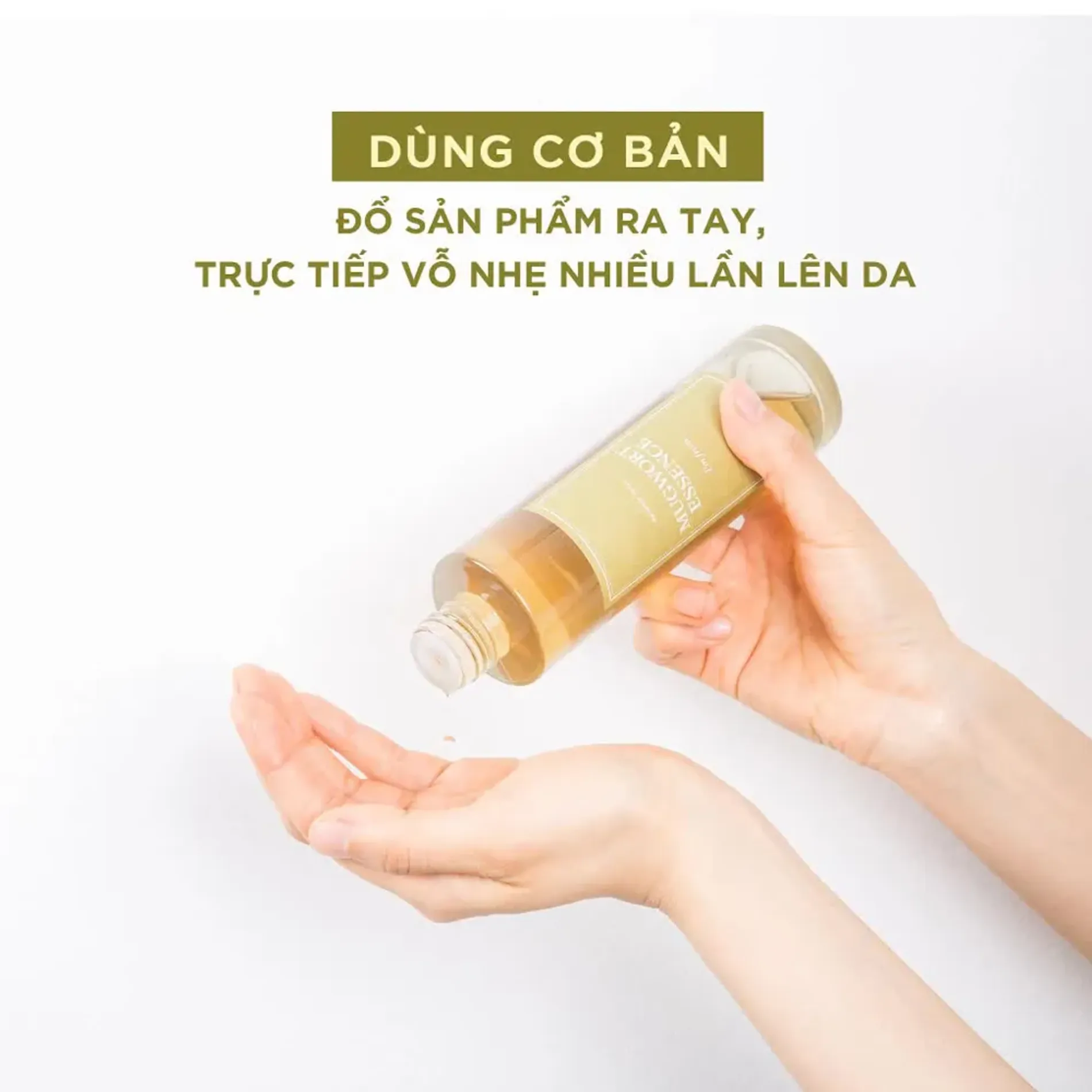 tinh-chat-ngai-cuu-im-from-mugwort-5