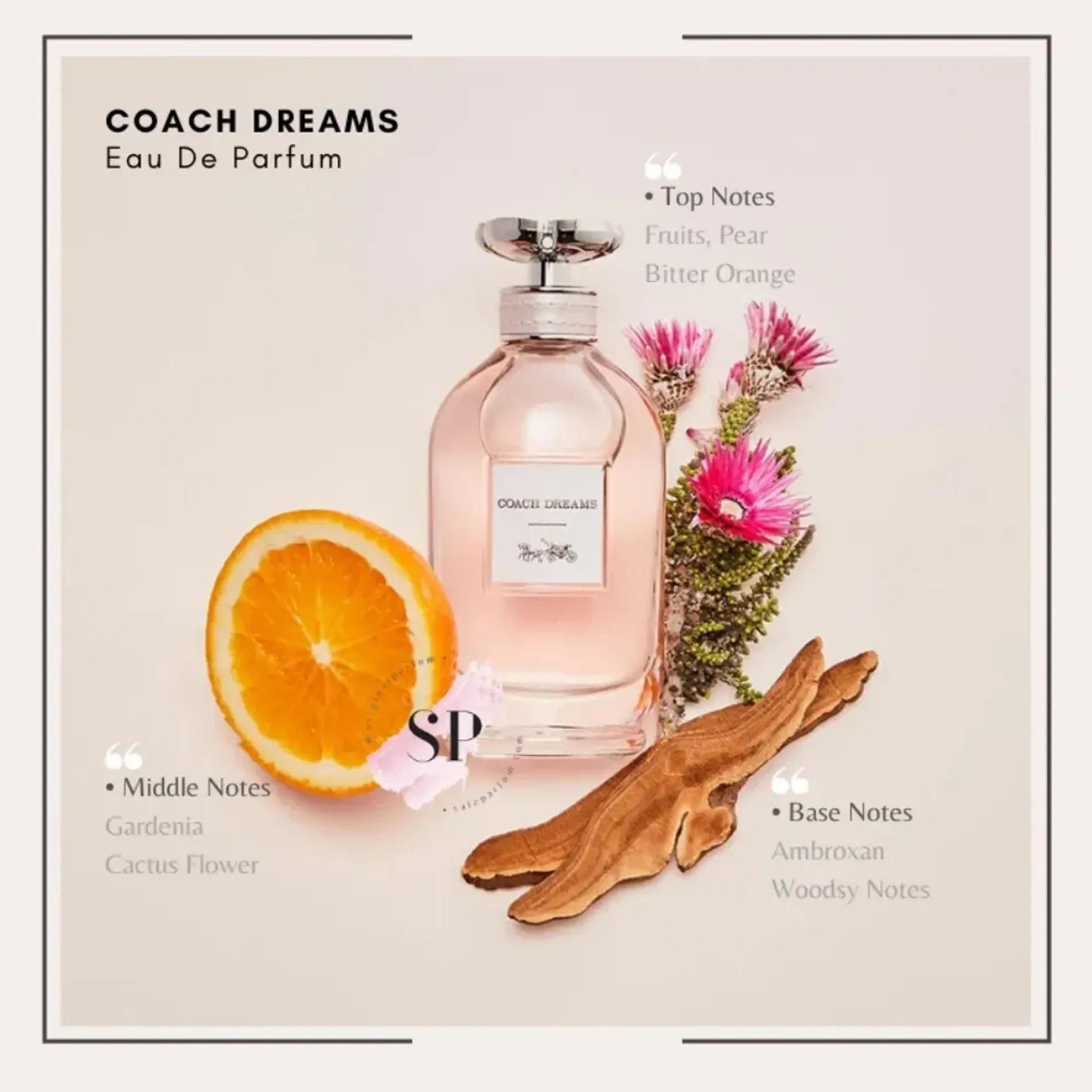 nuoc-hoa-nu-coach-dreams-edp-2