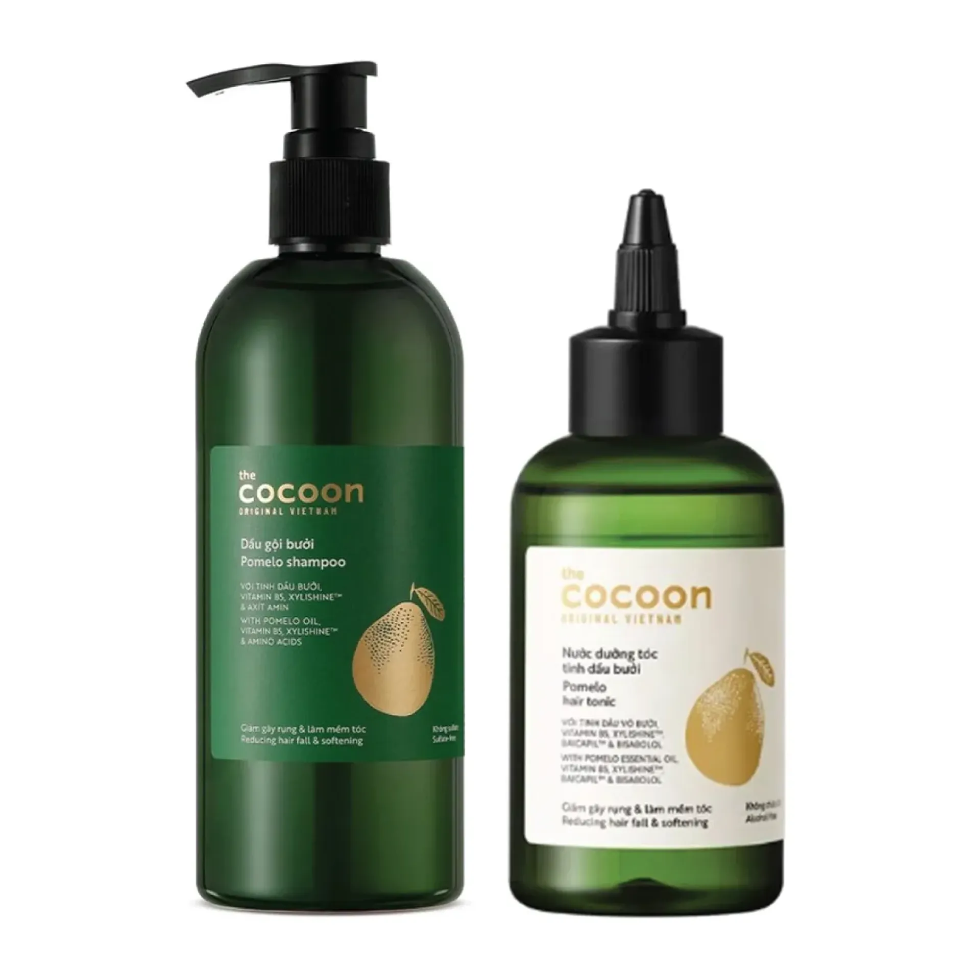 set-cham-soc-toc-mem-muot-cocoon-1