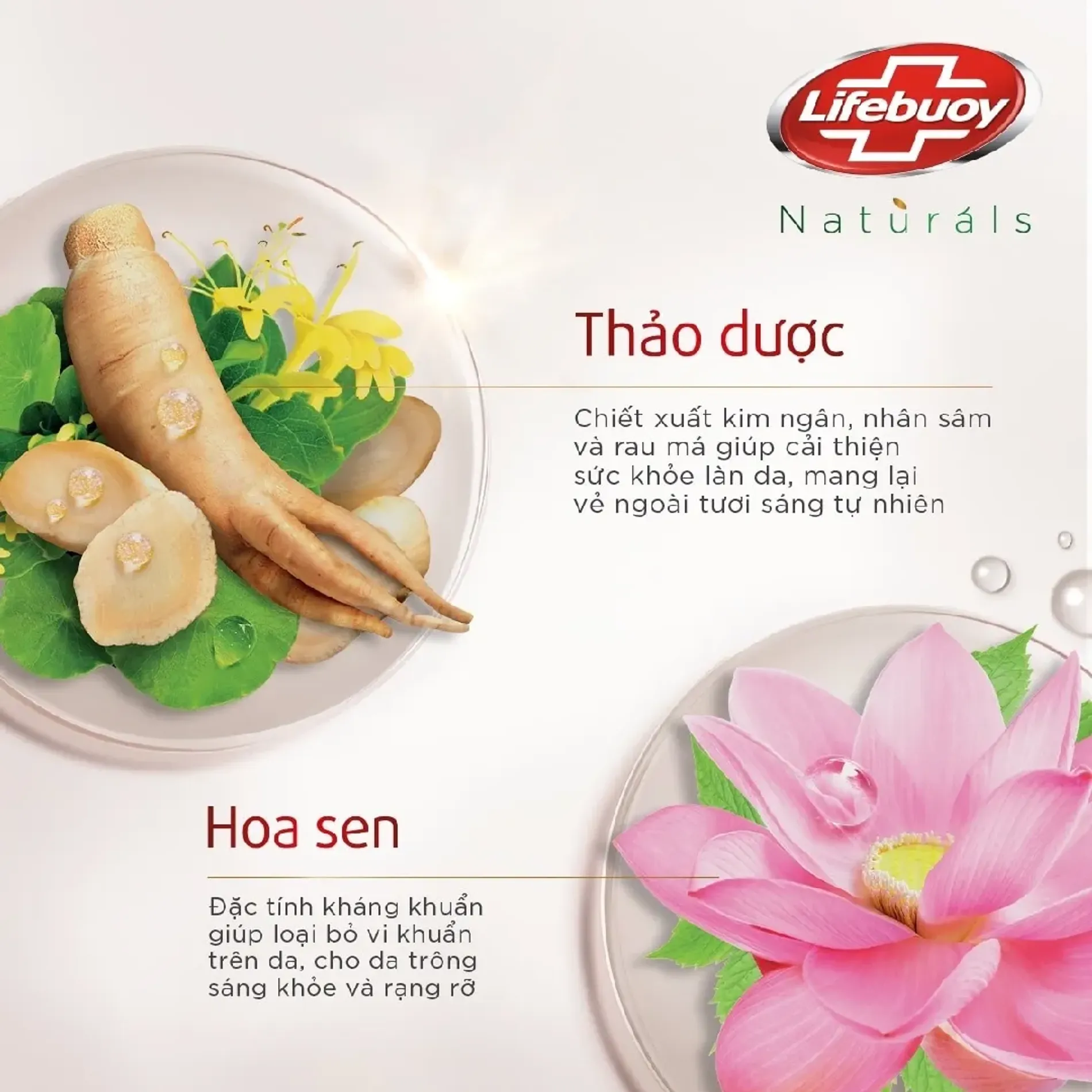 sua-tam-duong-da-lifebuoy-gel-5