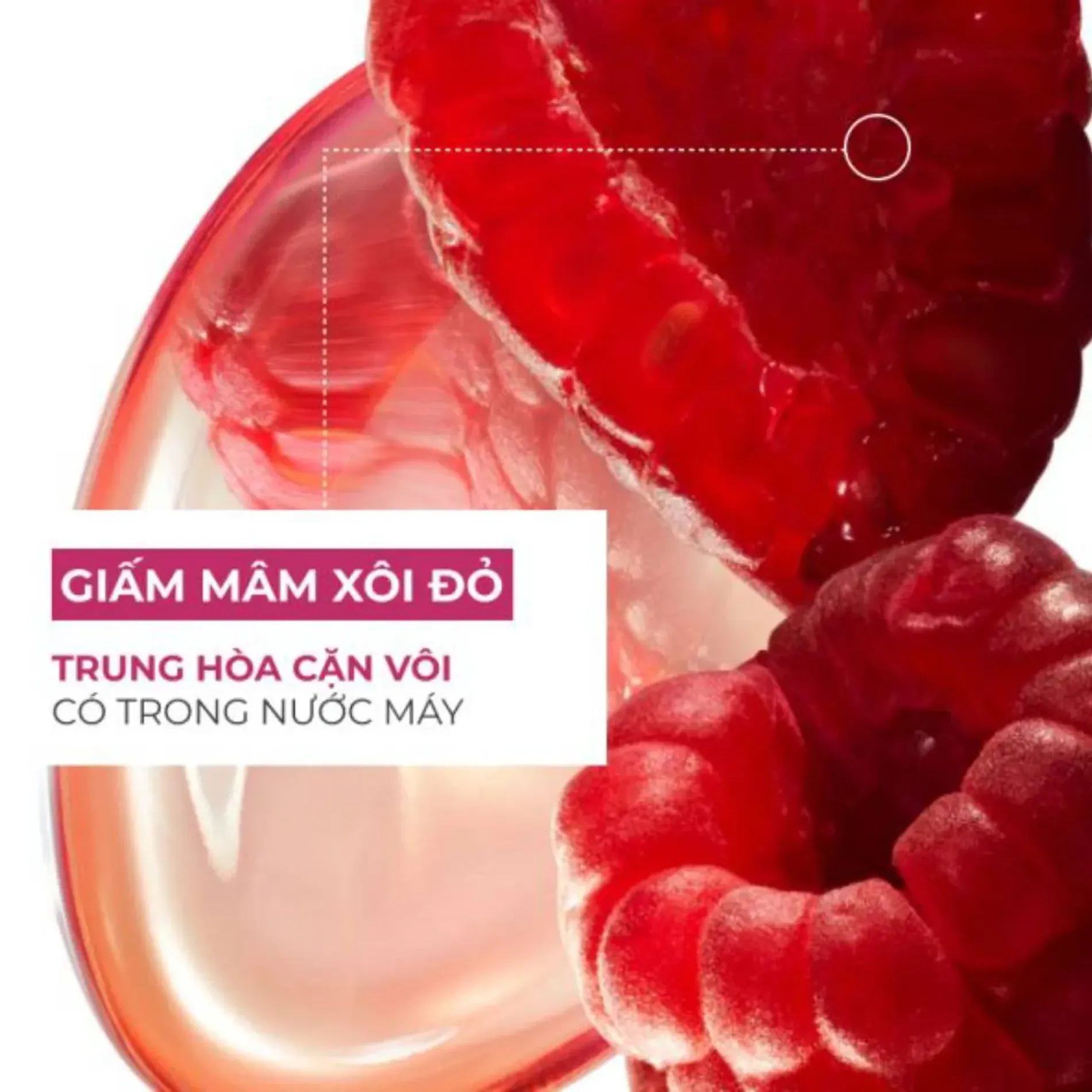 dau-goi-yves-rocher-giu-mau-toc-nhuom-bong-muot-shin-4