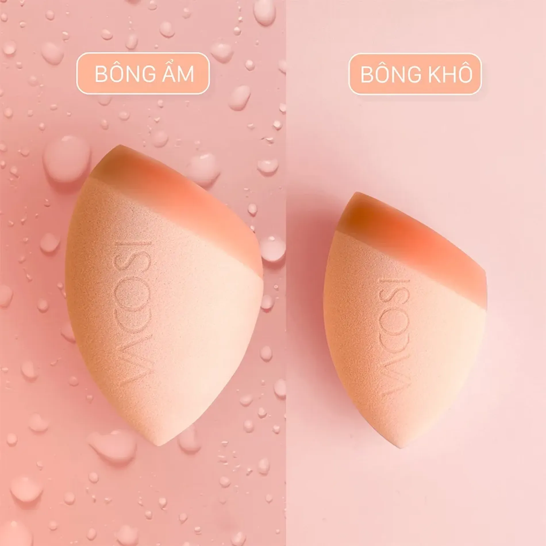 bong-mut-tan-kem-nen-the-he-moi-vacosi-pro-crafted-makeup-blender-2