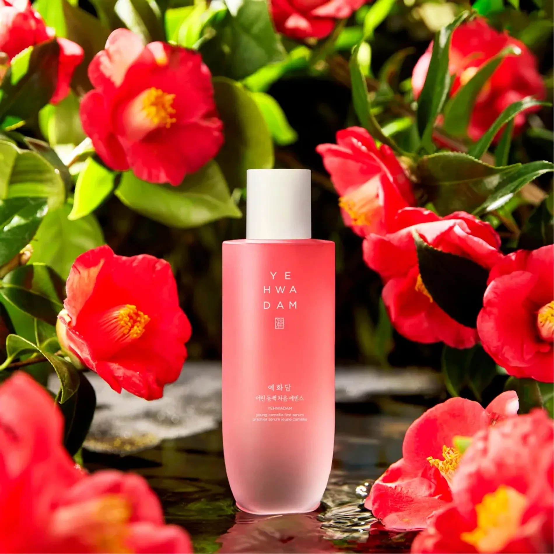 tinh-chat-duong-am-chong-oxy-hoa-the-face-shop-yehwadam-young-camellia-first-serum-180ml-5