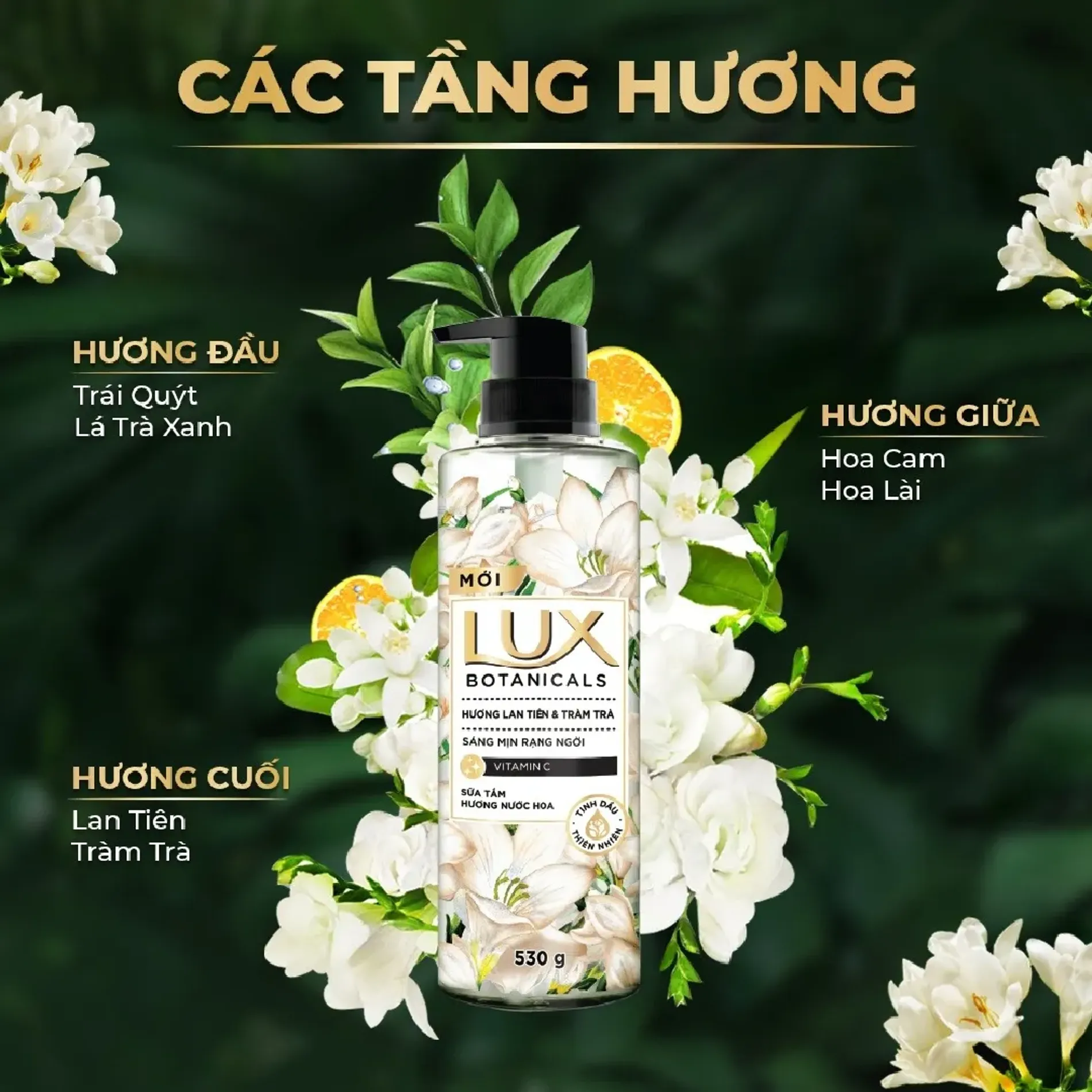 sua-tam-huong-nuoc-hoa-lux-botanicals-gel-570g-6