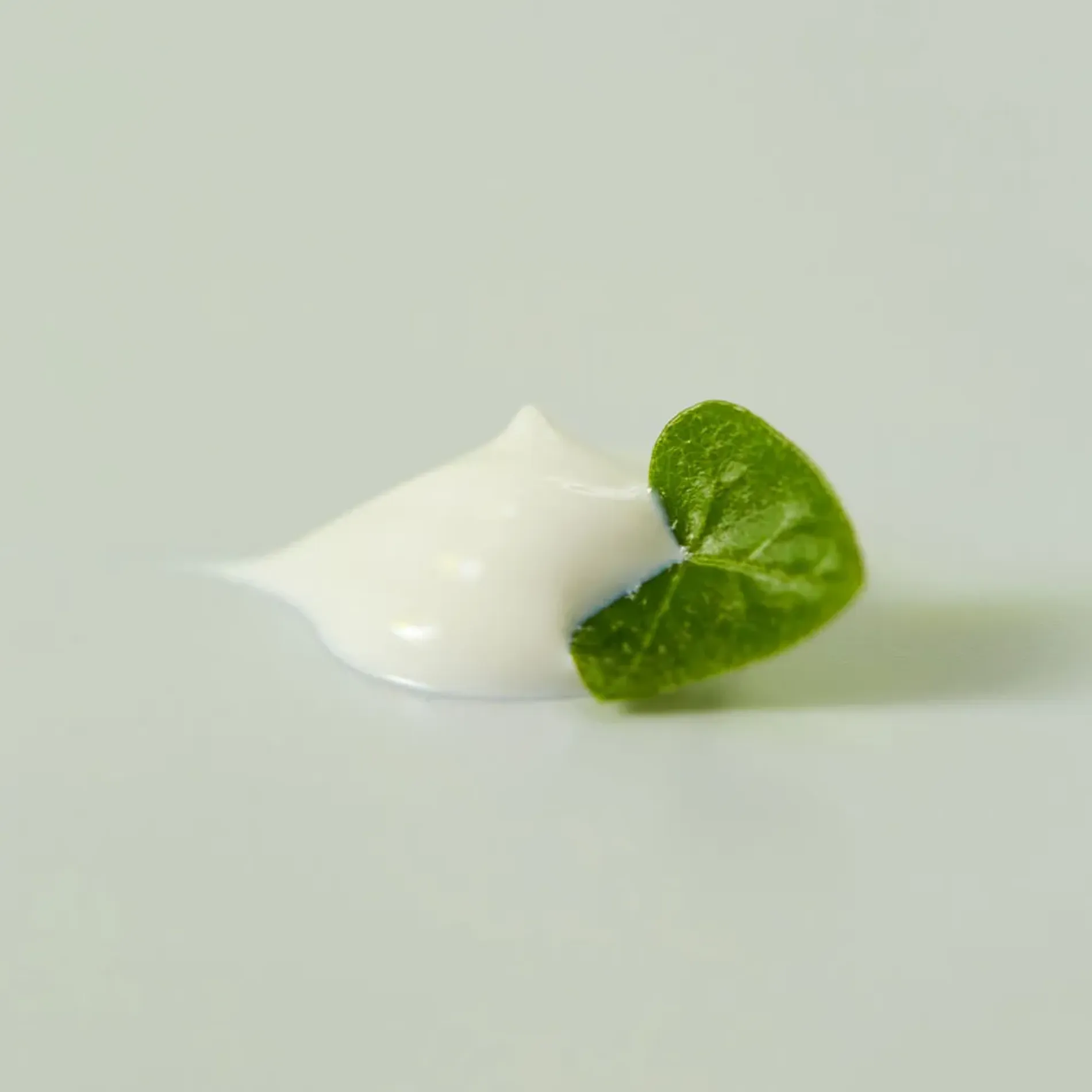 kem-chong-nang-goodal-houttuynia-cordata-calming-mineral-filter-sun-cream-11