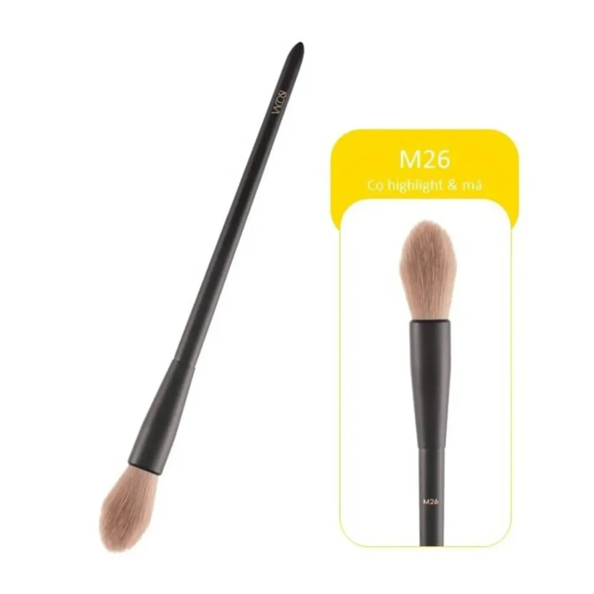 co-highlight-vacosi-tapered-highlighter-3