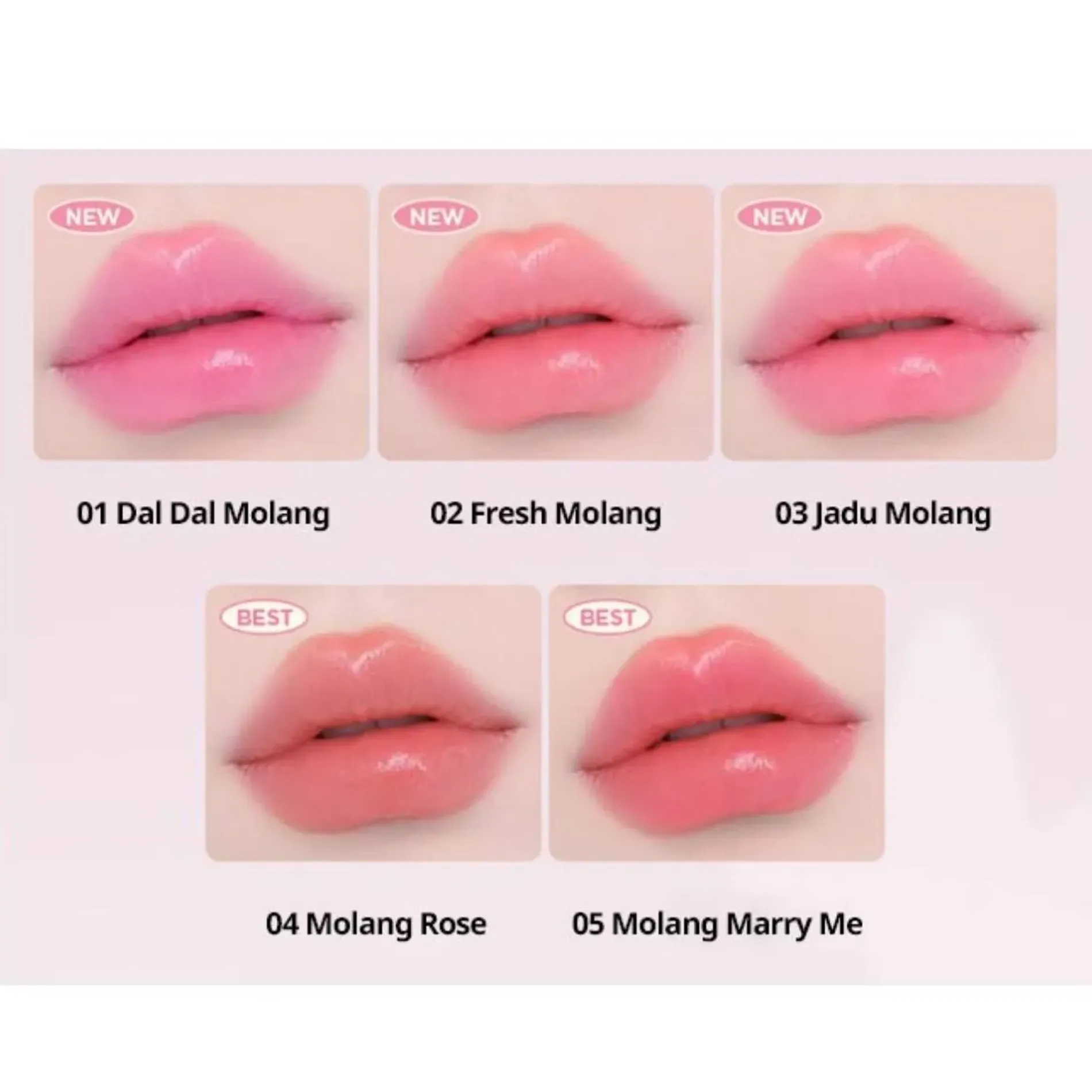 phien-ban-gioi-han-molang-son-thoi-new-sheer-8