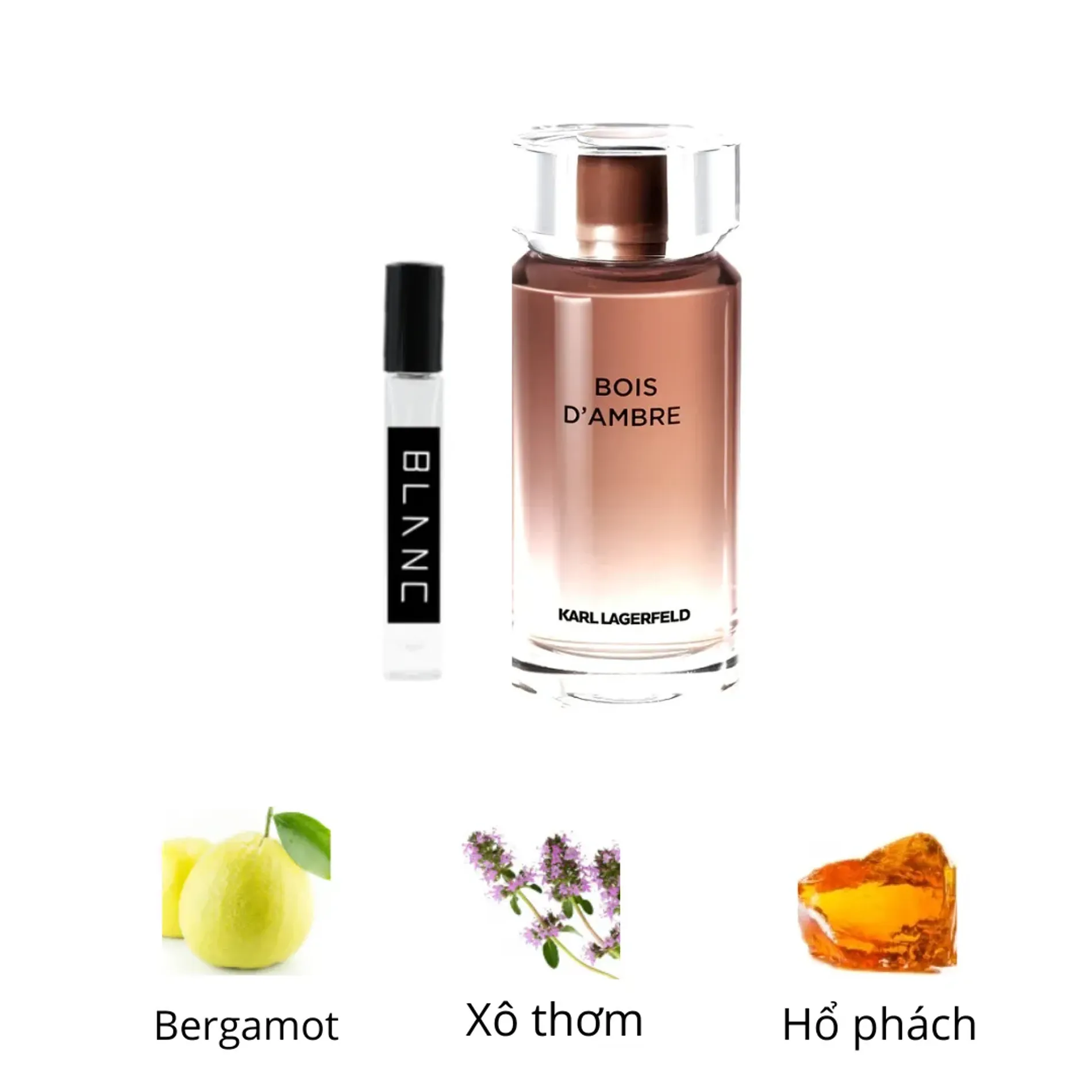 nuoc-hoa-karl-lagerfeld-bois-ambre-4