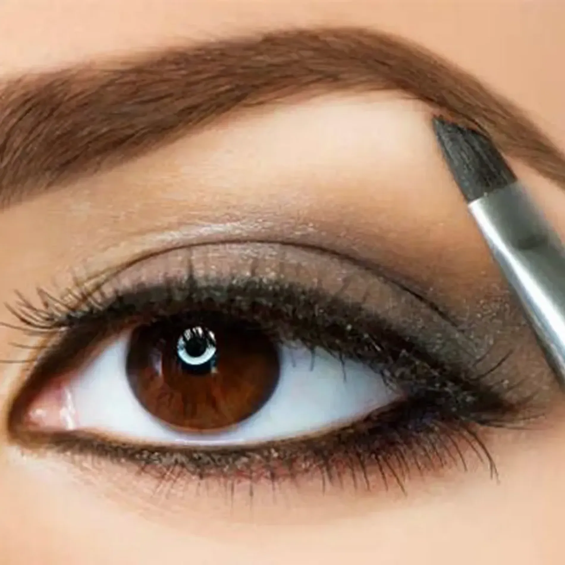 co-tan-chan-may-long-ngan-vacosi-eyebrow-angled-brush-short-2