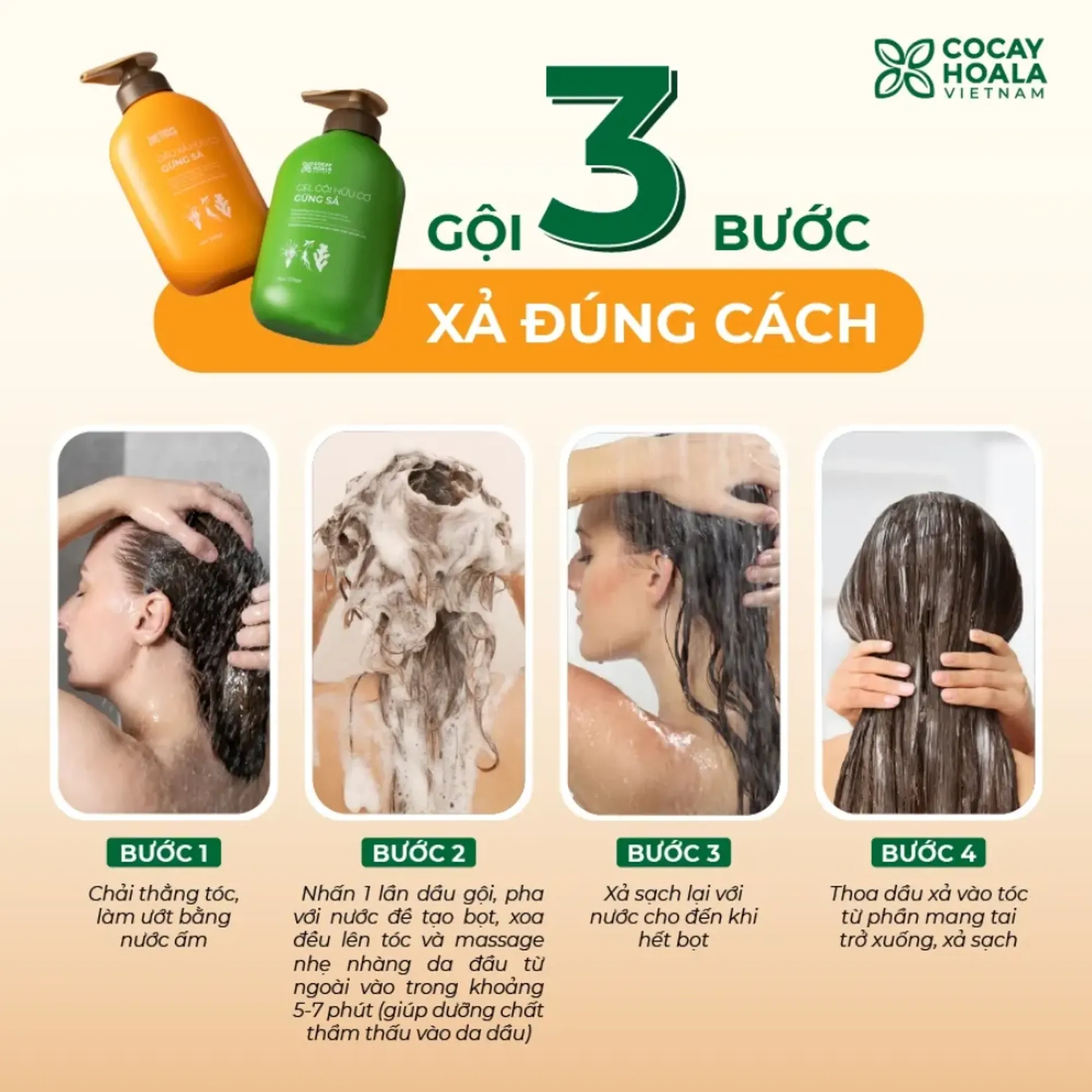 bo-goi-xa-huu-co-gung-sa-cocayhoala-ginger-lemongrass-5