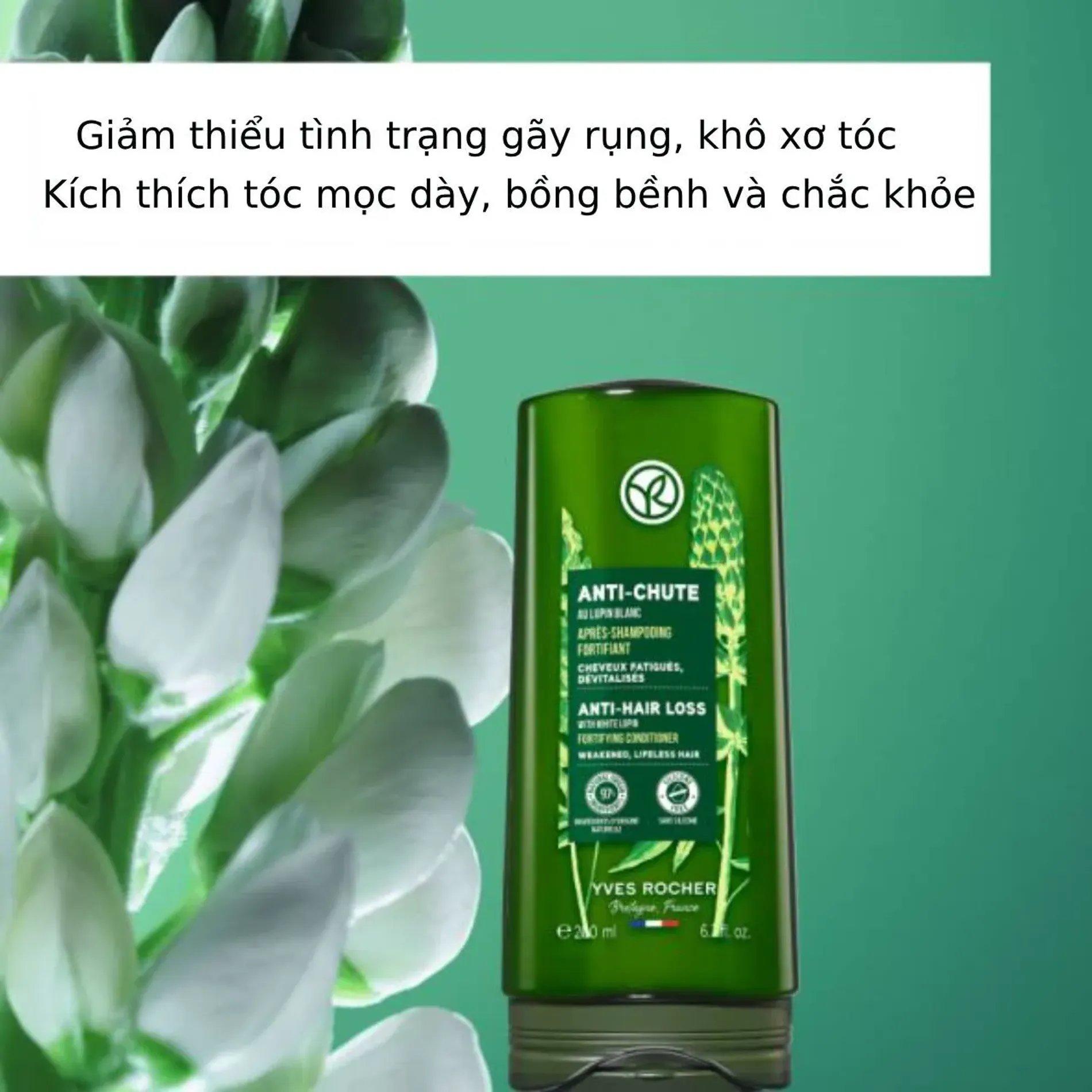 dau-xa-yves-rocher-giam-toc-gay-rung-anti-hair-loss-3