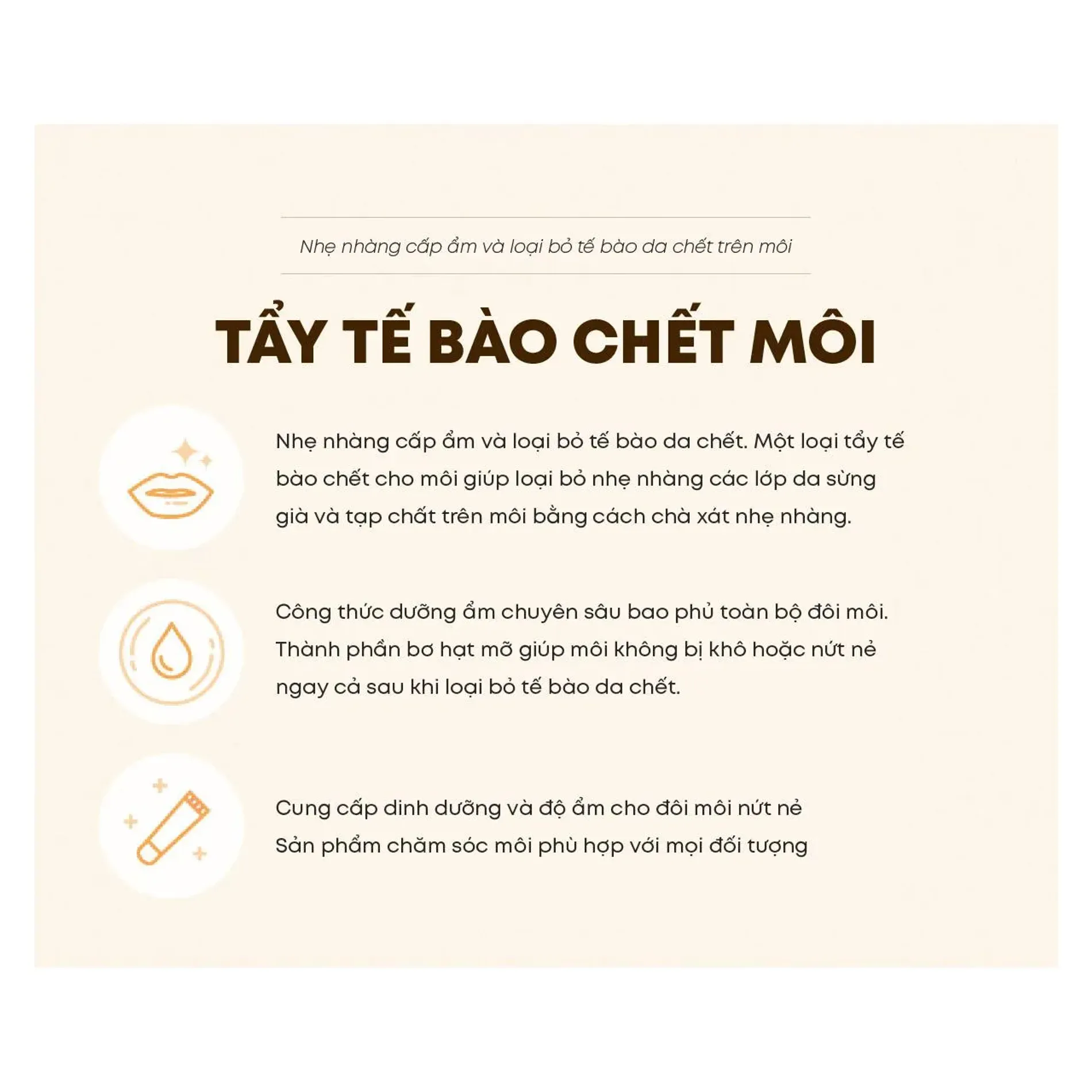 fmgt-kem-tay-te-bao-chet-moi-the-face-shop-lip-scrub-10g-3