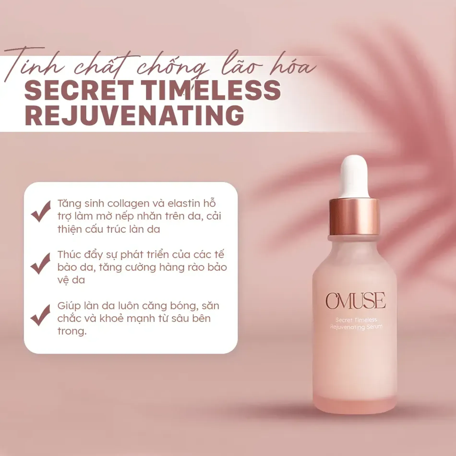 tinh-chat-chong-lao-hoa-omuse-secret-timeless-3