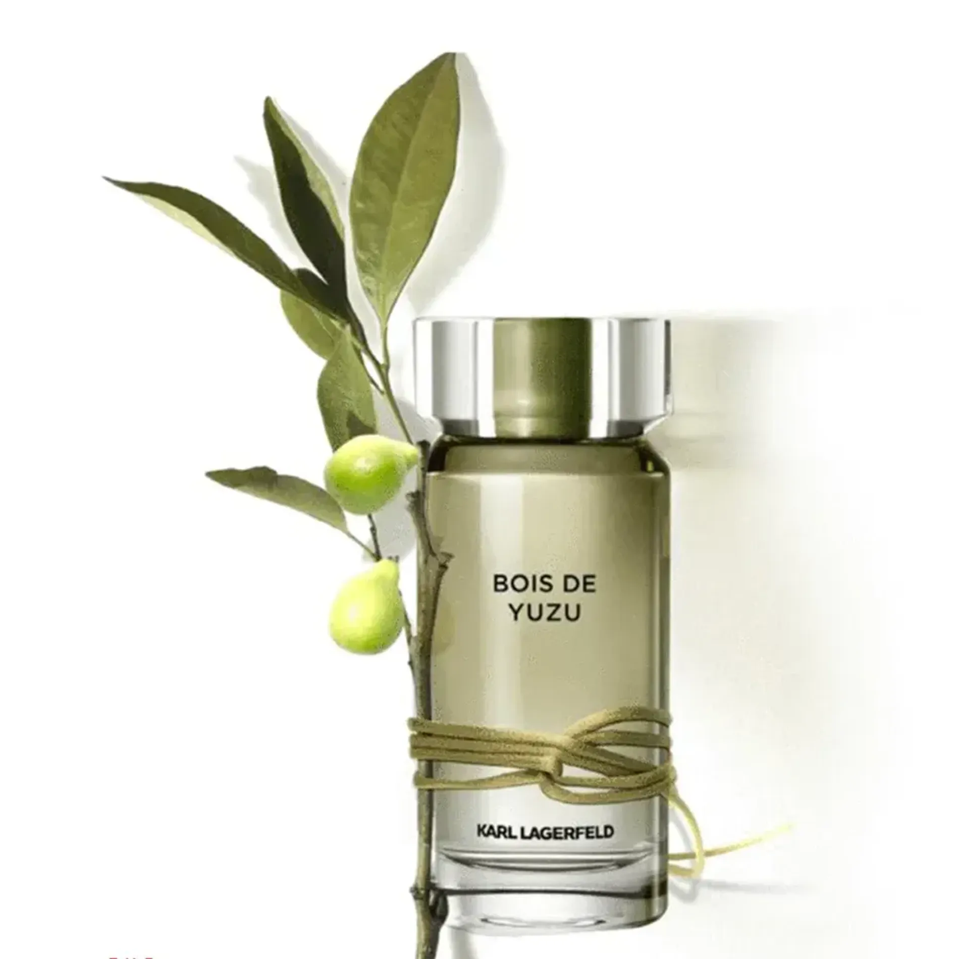 nuoc-hoa-nam-karl-lagerfeld-bois-de-yuzu-4