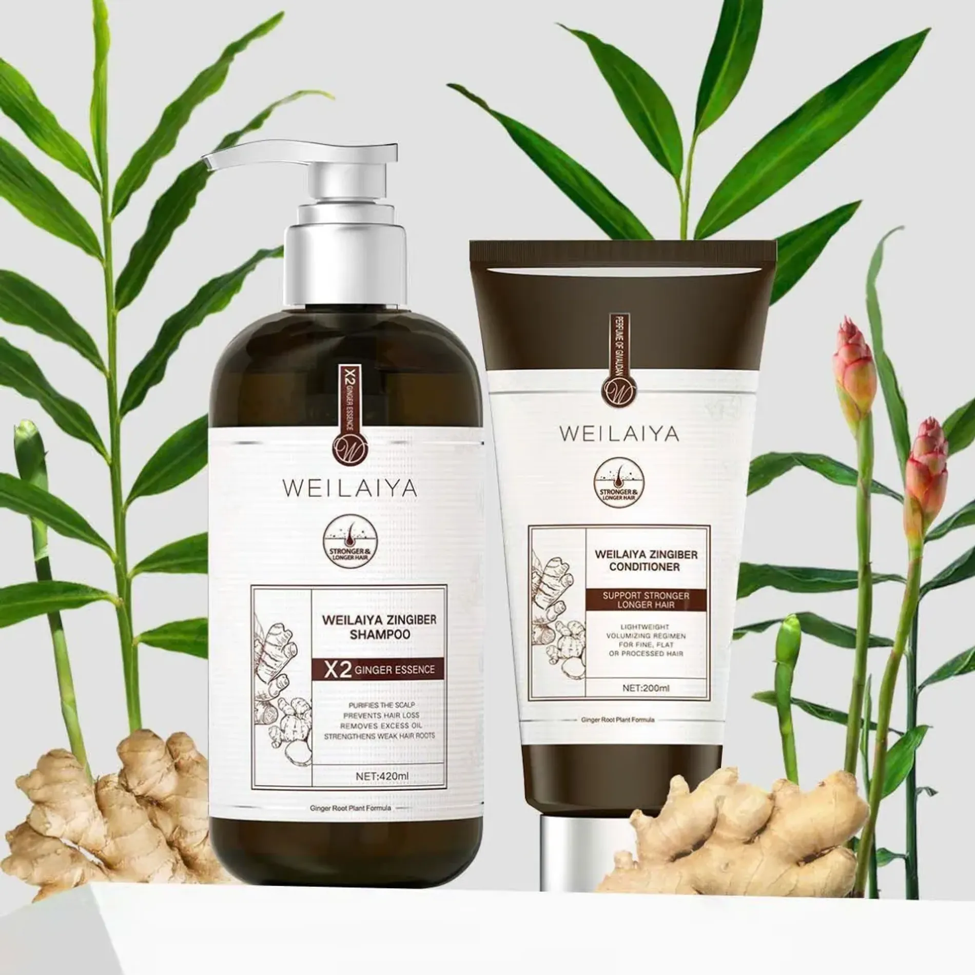 dau-goi-gung-weilaiya-ginger-shampoo-for-hair-growth-scalp-anti-aging-420ml-3
