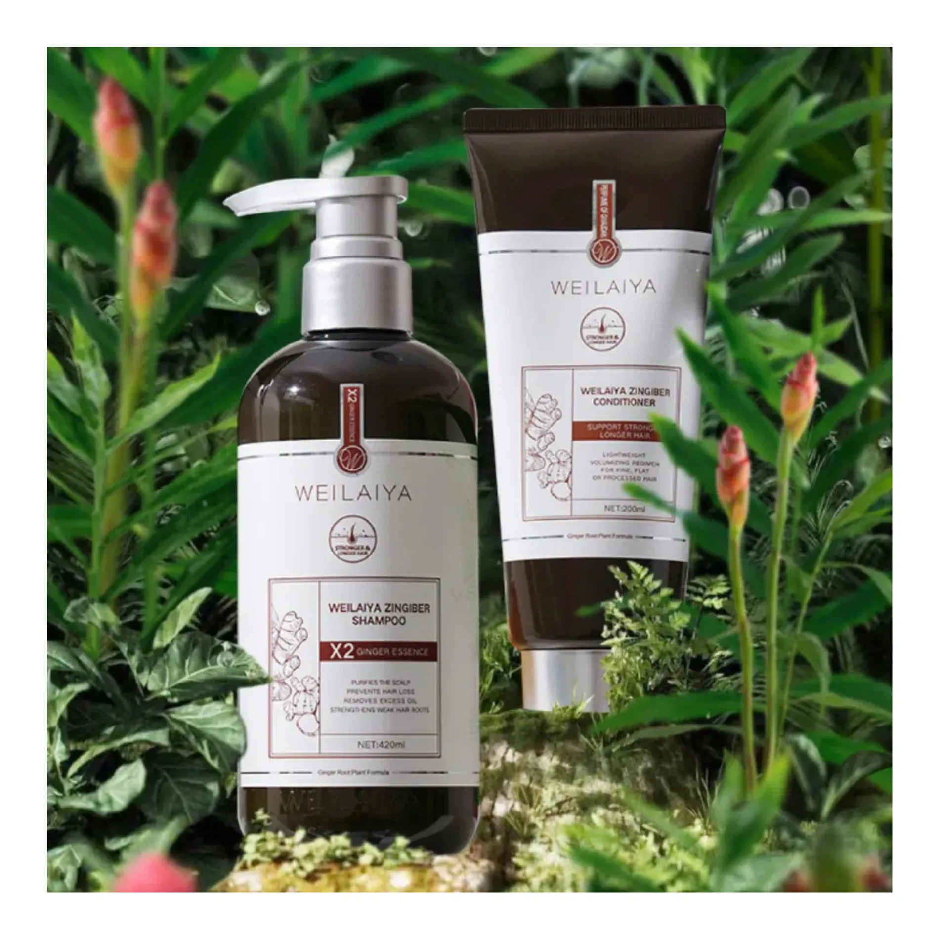 dau-goi-gung-weilaiya-ginger-shampoo-for-hair-growth-scalp-anti-aging-420ml-4