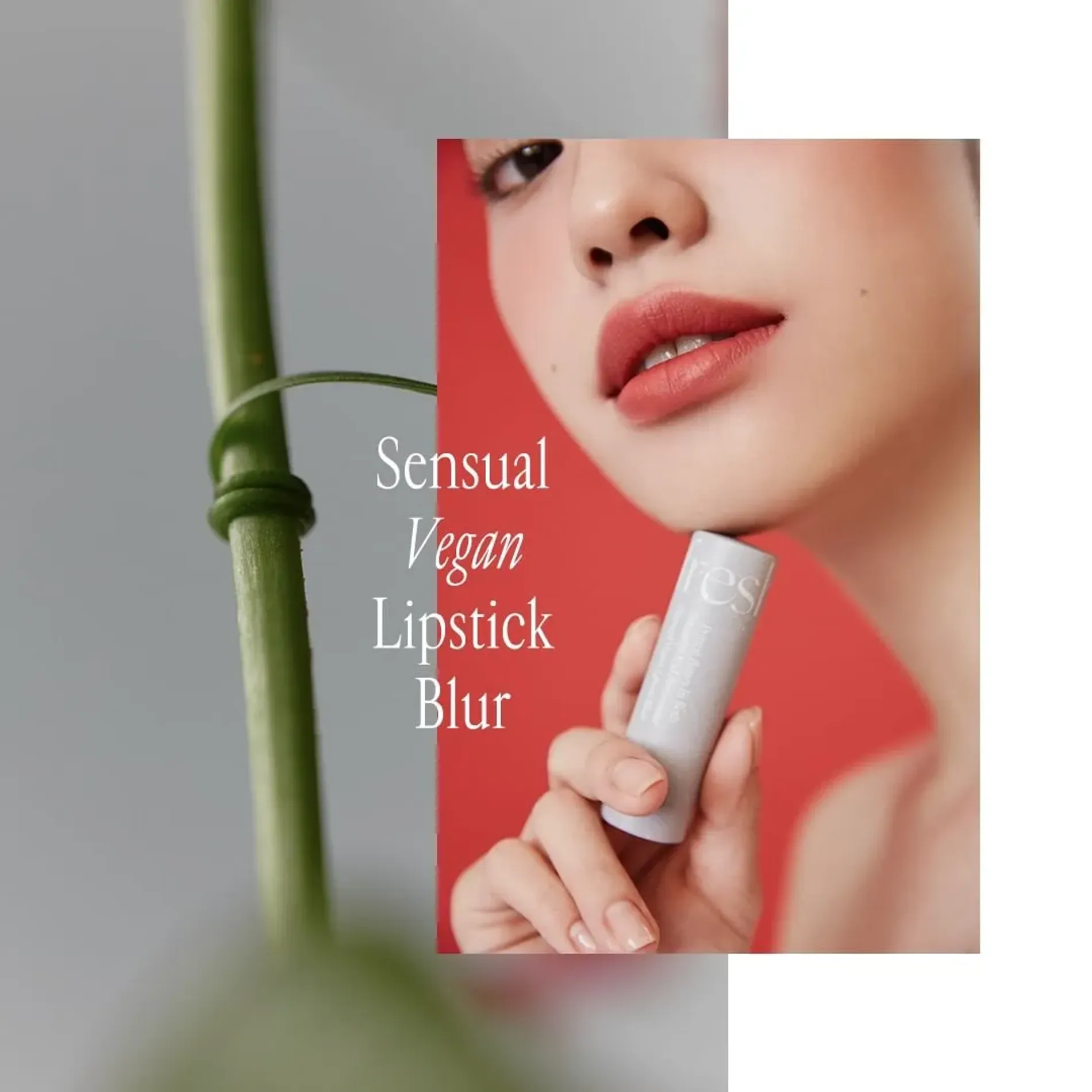 son-thoi-thuan-chay-freshian-sensual-vegan-lipstick-blur-33g-3