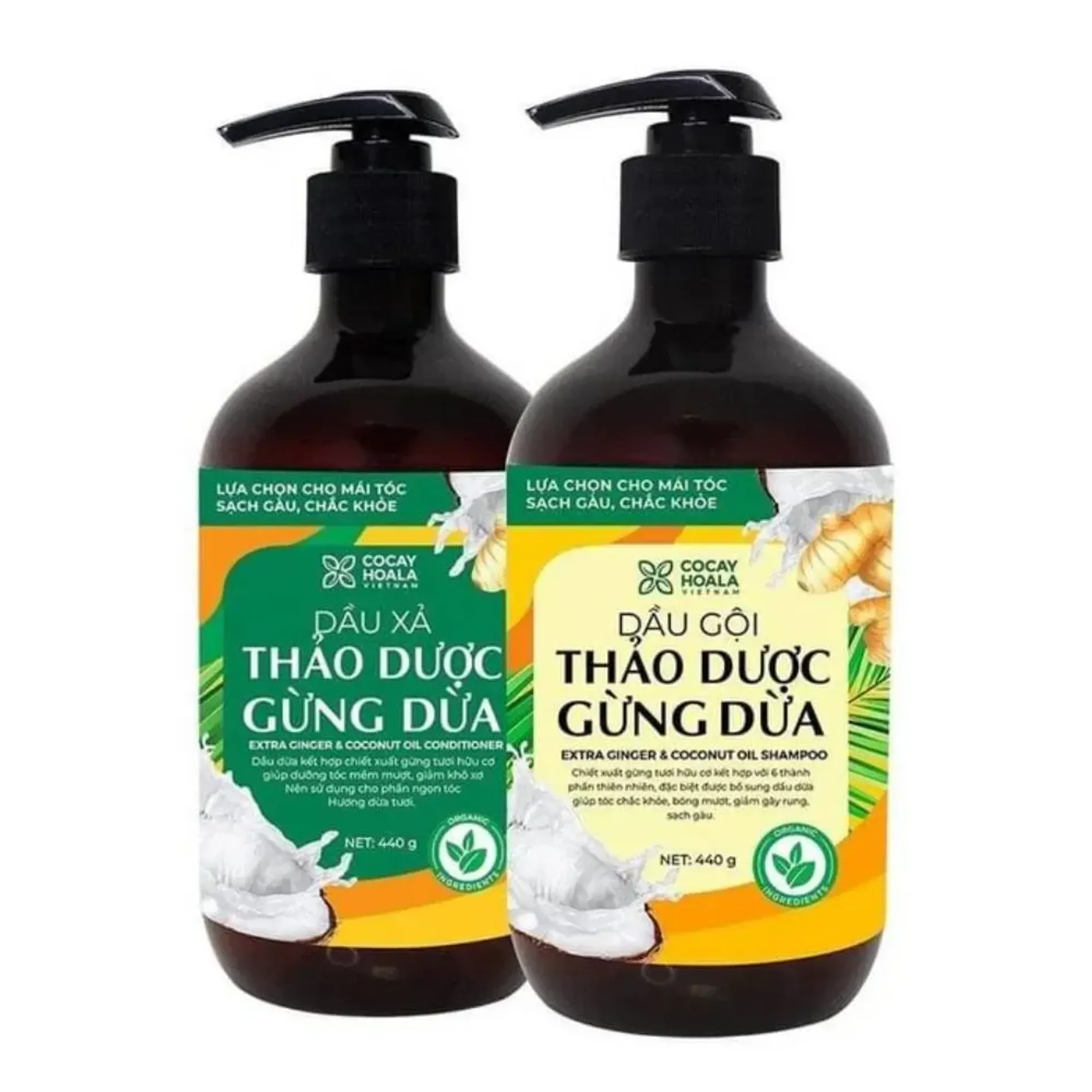 dau-goi-thao-duoc-gung-dua-cocayhoala-ginger-shampoo-440g-2