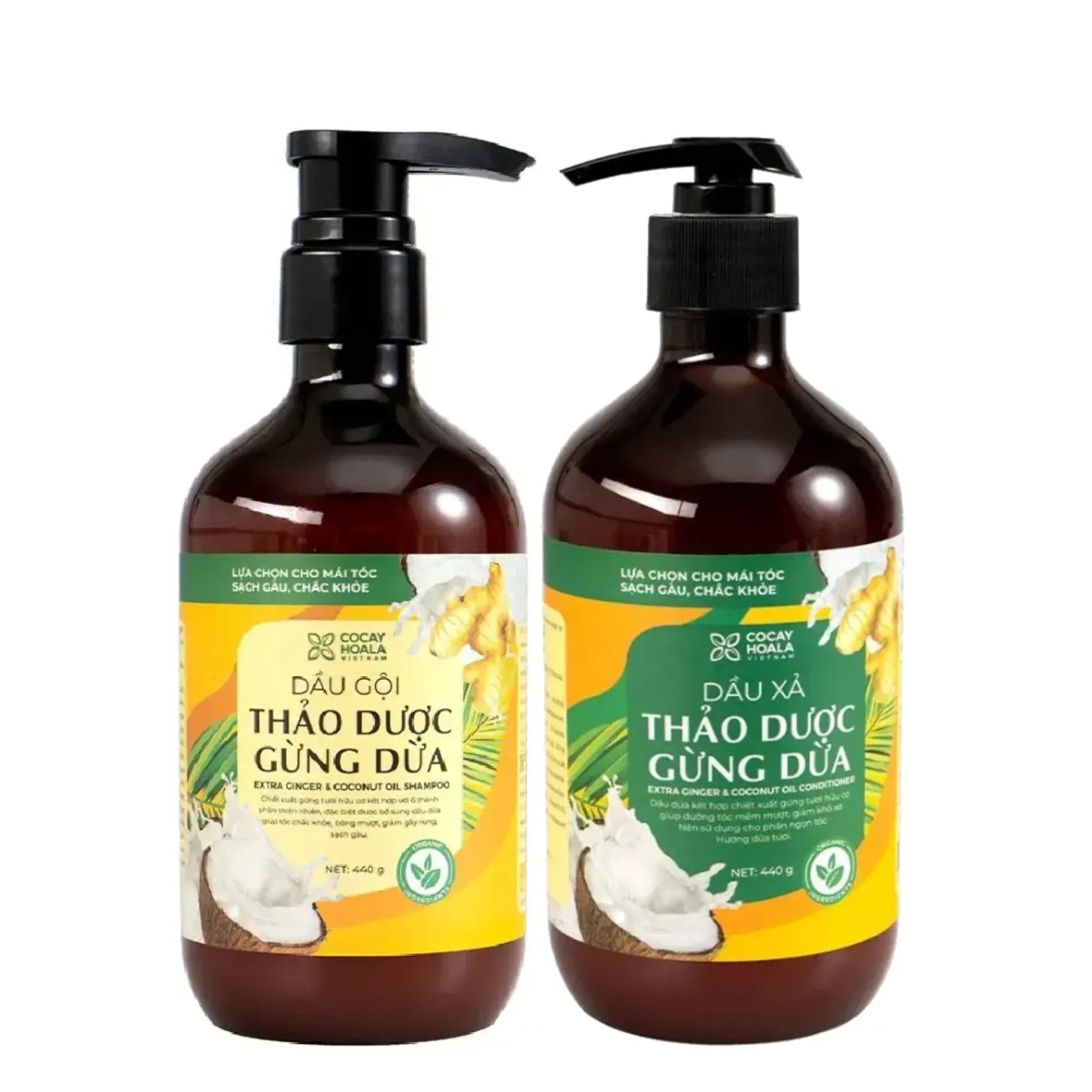 bo-dau-goi-xa-cocayhoala-ginger-shampoo-conditioner-440gx2-1