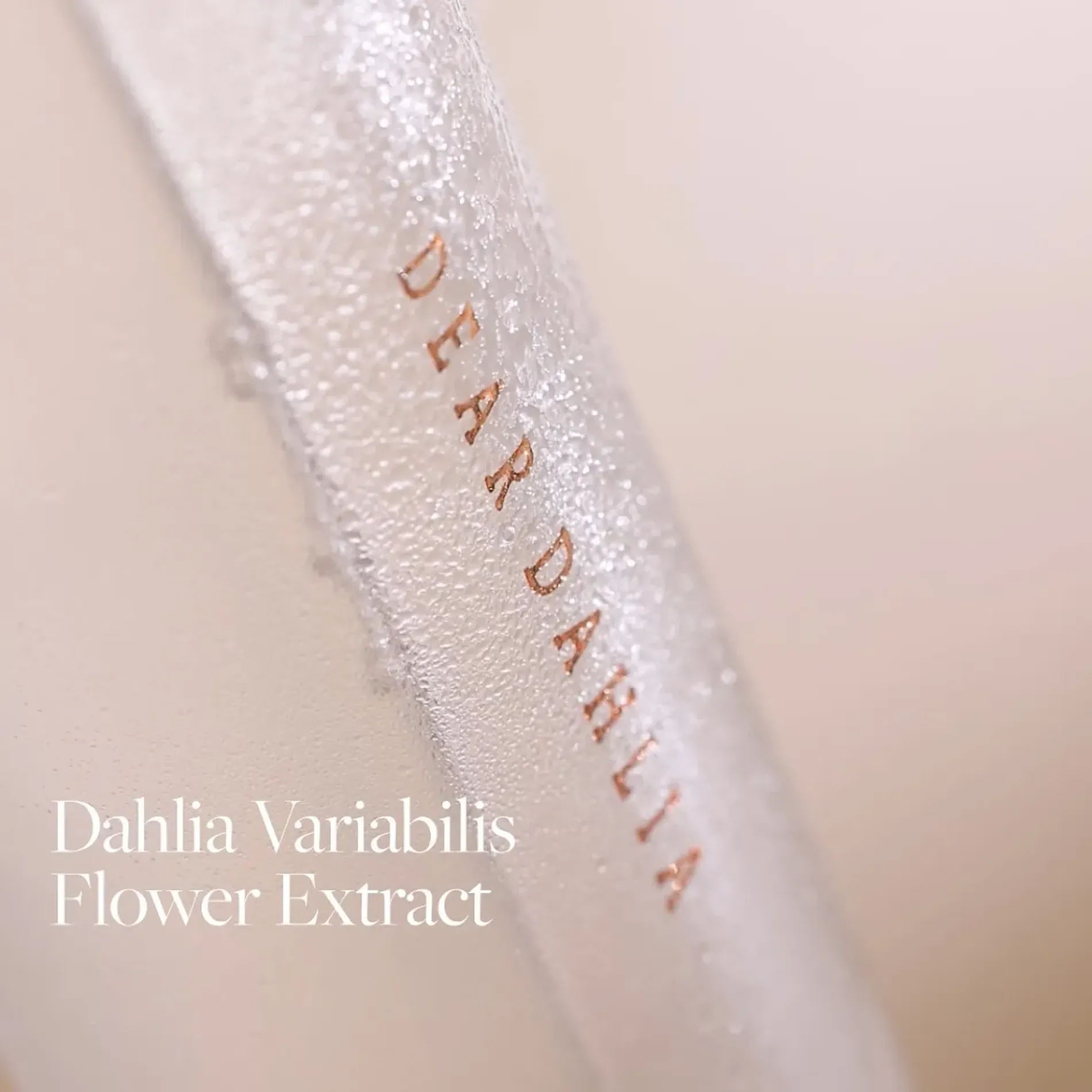 xit-duong-am-thuan-chay-dear-dahlia-endless-skin-cream-mist-7
