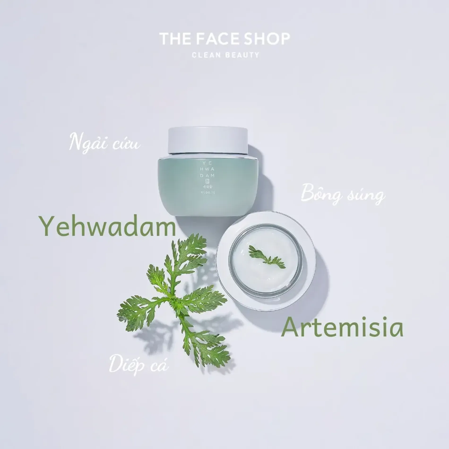 kem-duong-am-lam-diu-da-yehwadam-artemisia-soothing-moisturizing-cream-120ml-2