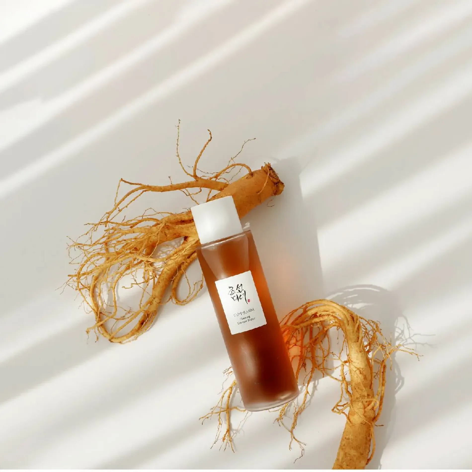 nuoc-duong-beauty-of-joseon-chong-lao-hoa-da-ginseng-9