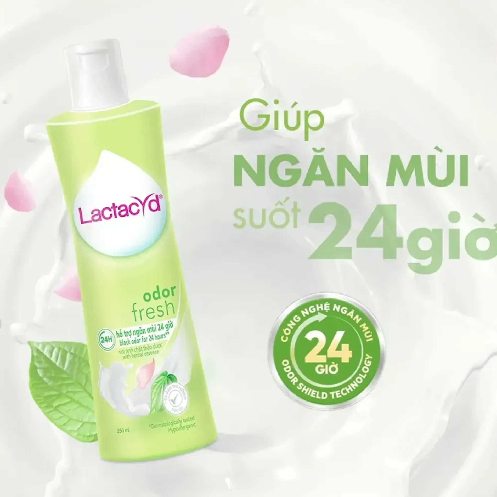 dung-dich-ve-sinh-phu-nu-giam-ngua-rat-lactacyd-odor-fresh-250ml-3