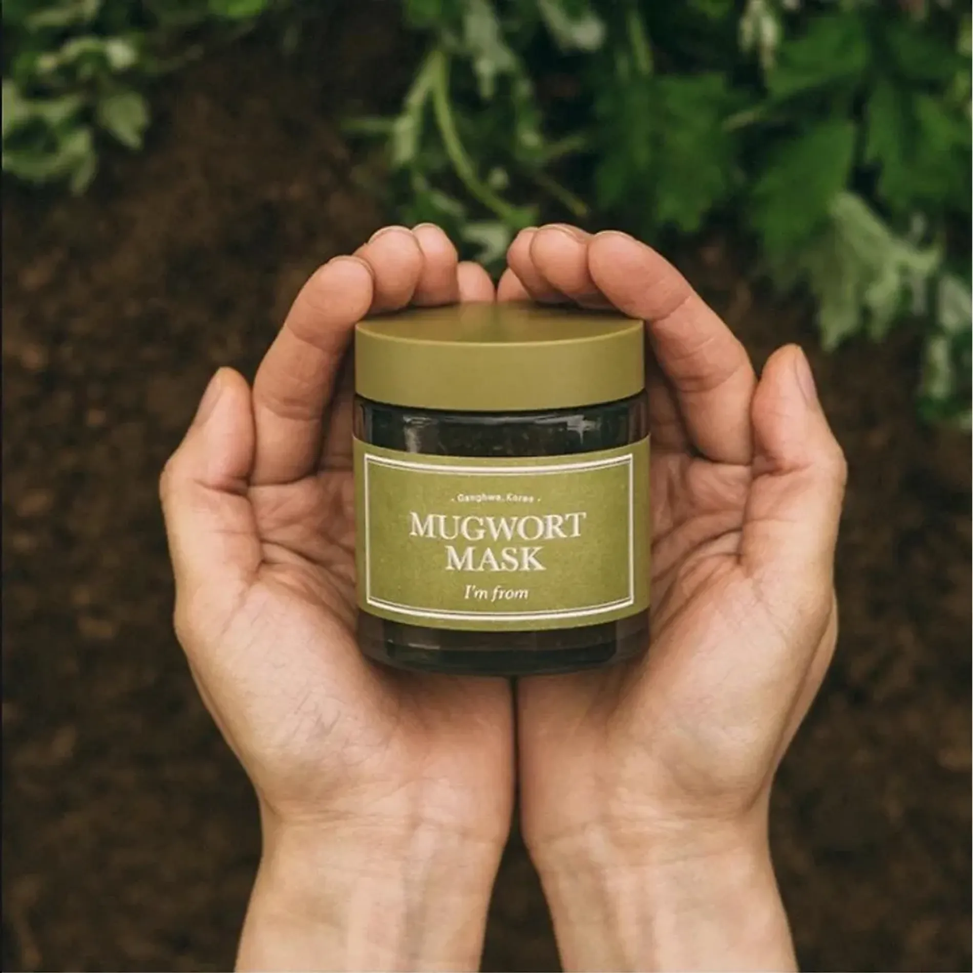 mat-na-rua-im-from-mugwort-4