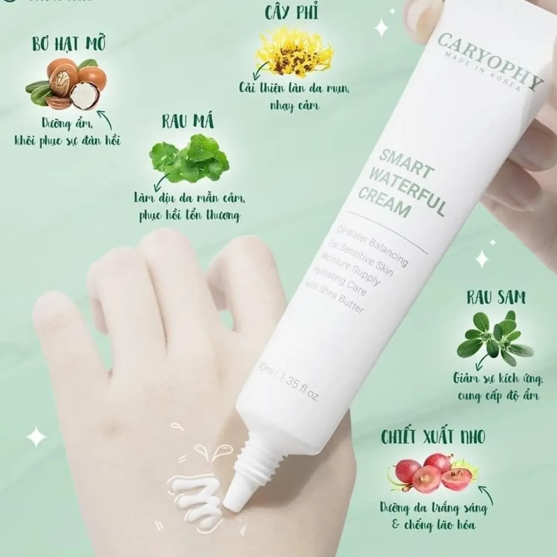 kem-duong-am-phuc-hoi-da-caryophy-smart-waterful-cream-40ml-4