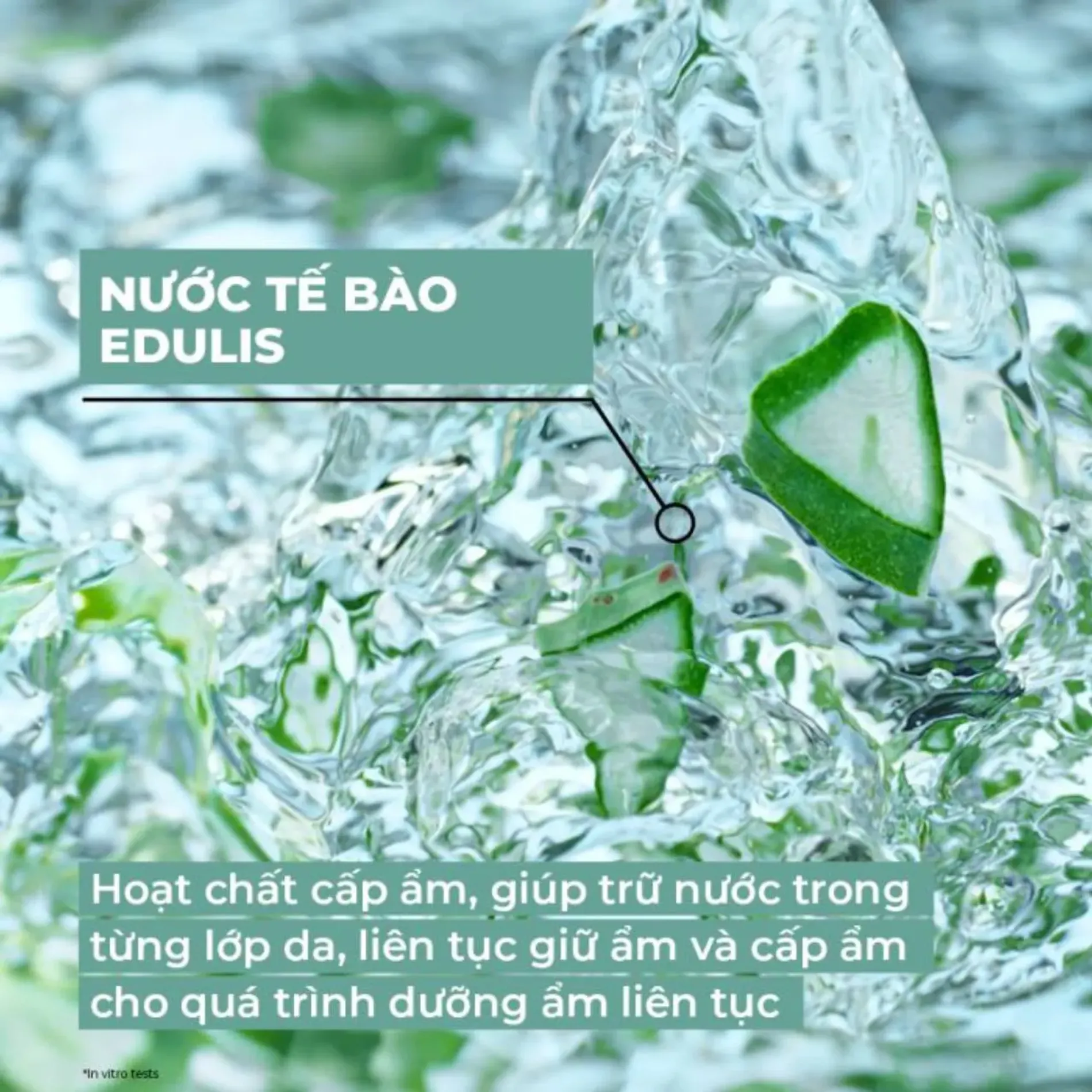 kem-duong-da-yves-rocher-cap-am-48-gio-6