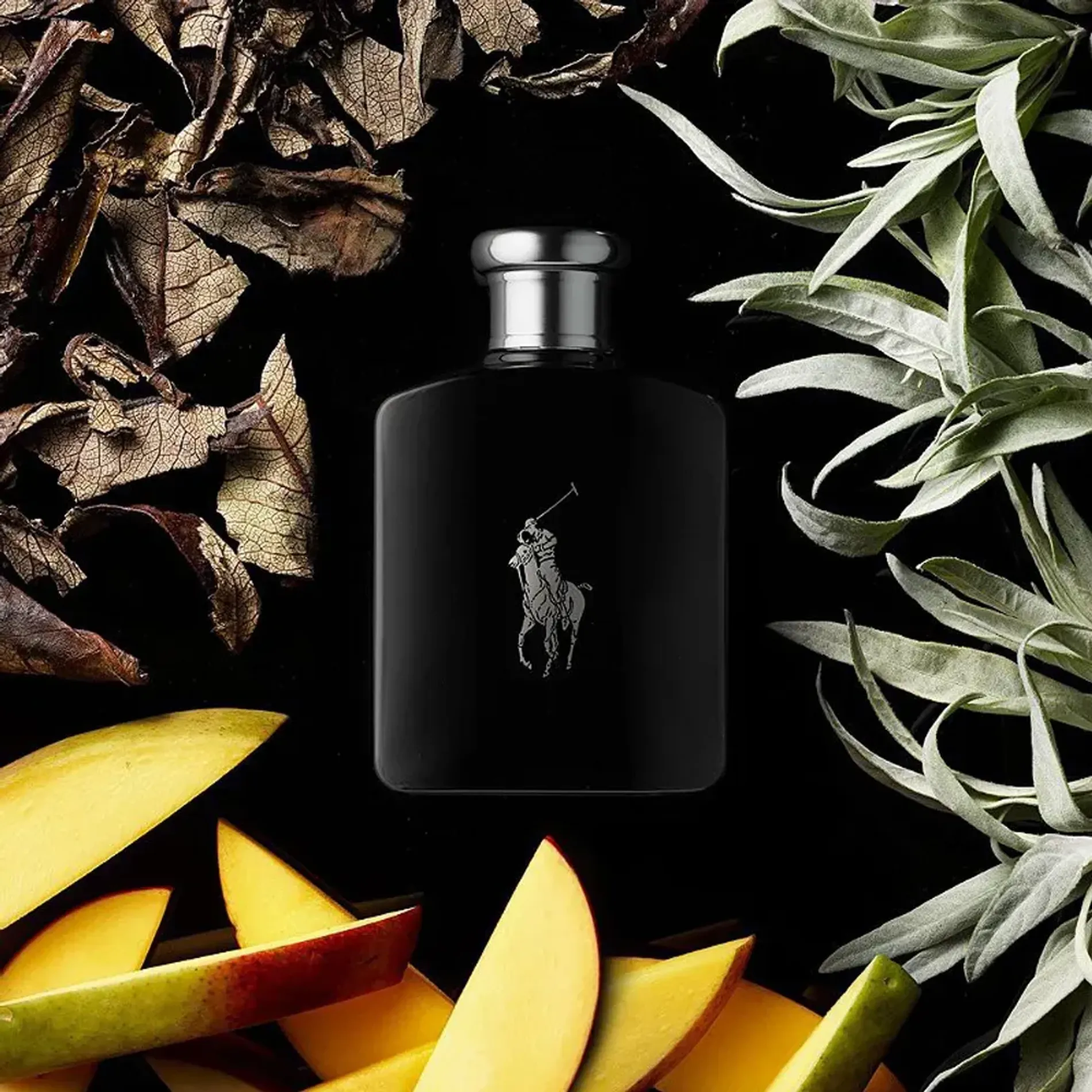 nuoc-hoa-nam-ralph-lauren-polo-black-2