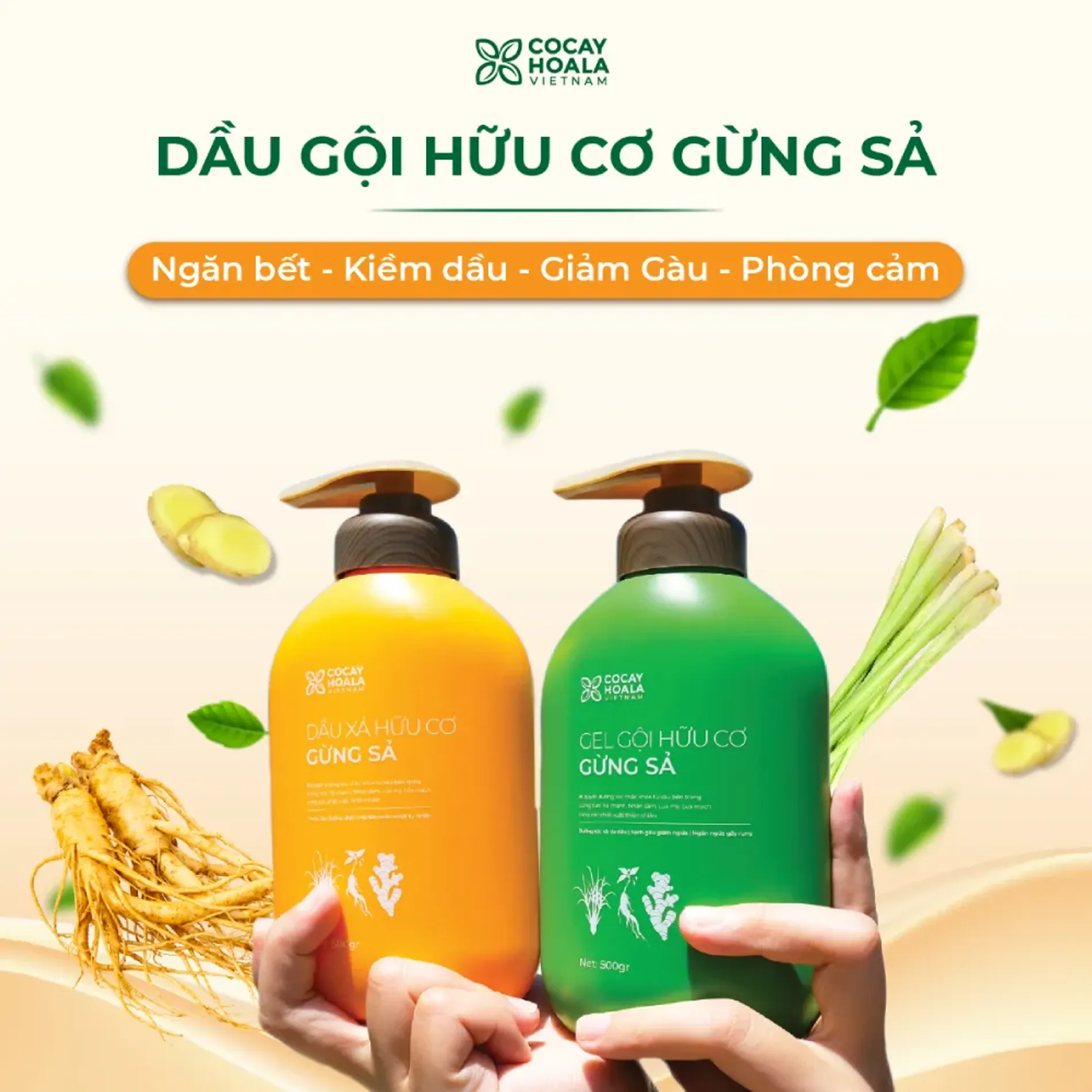 bo-goi-xa-huu-co-gung-sa-cocayhoala-ginger-lemongrass-3