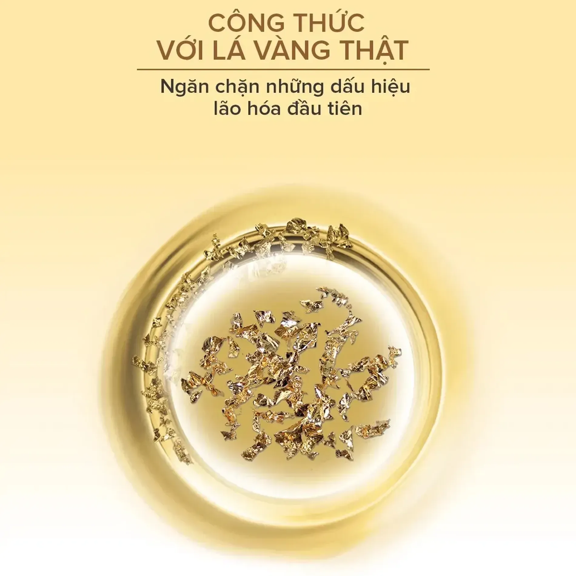 kem-duong-bio-gold-night-cream-4